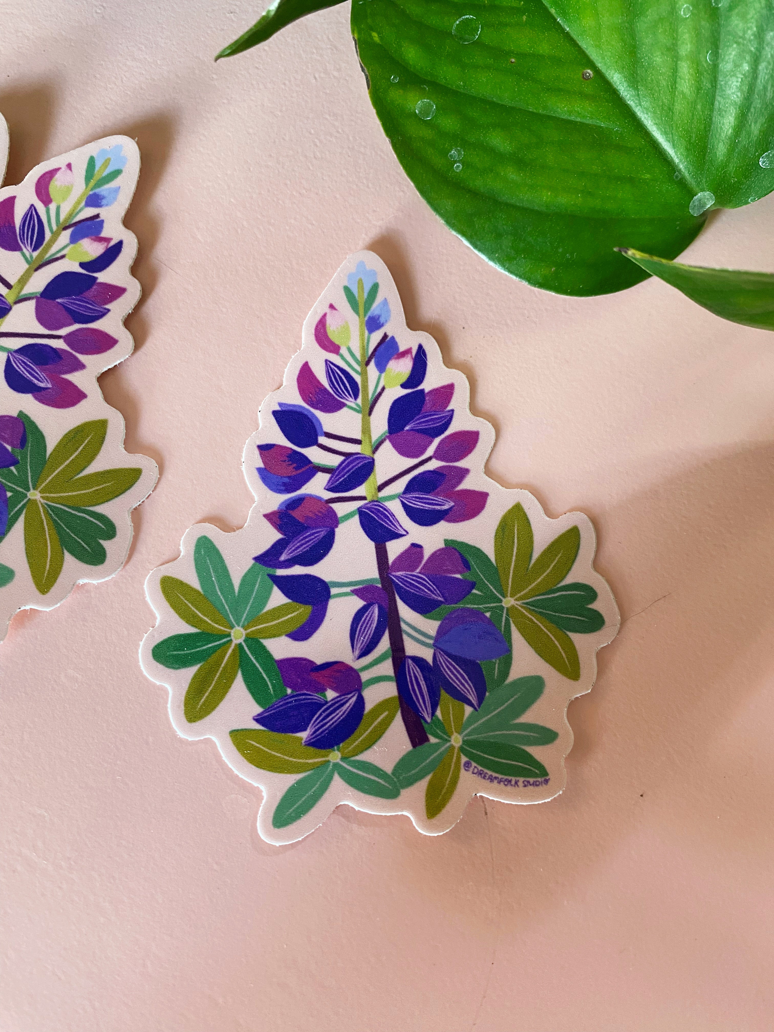 Lupine Sticker