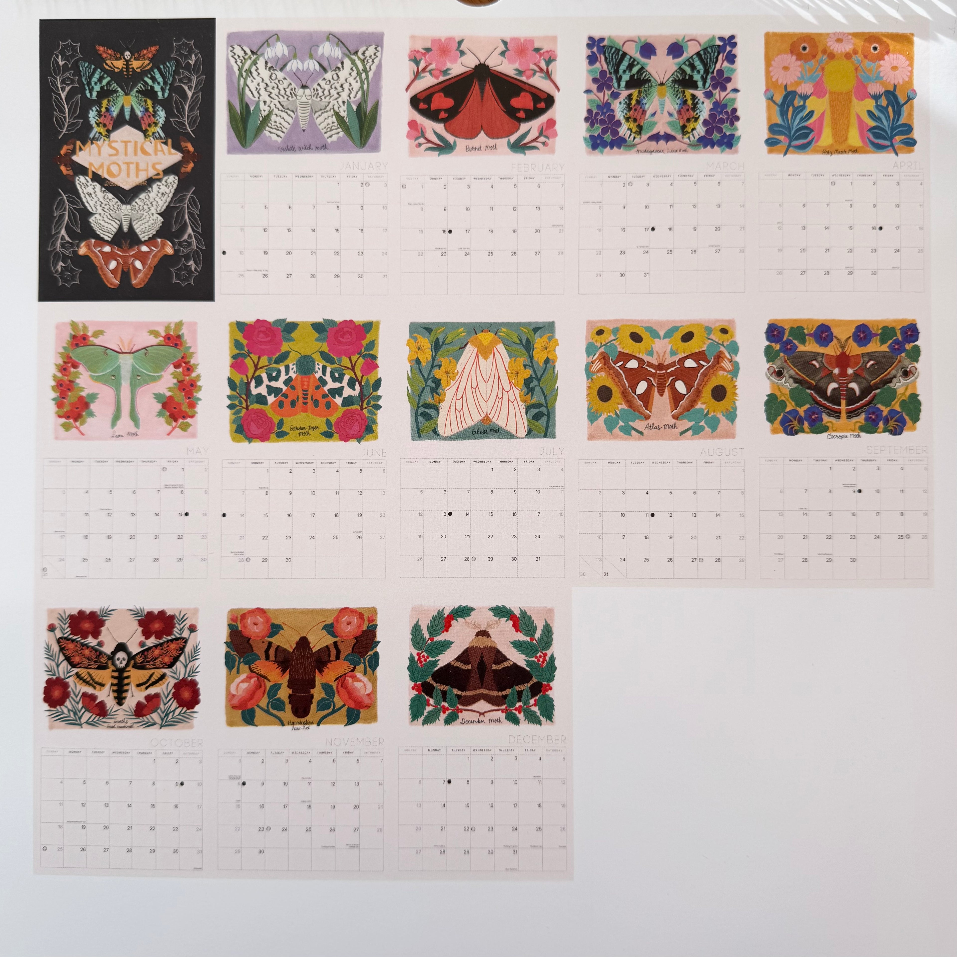Mystical Moths 2026 Wall calendar