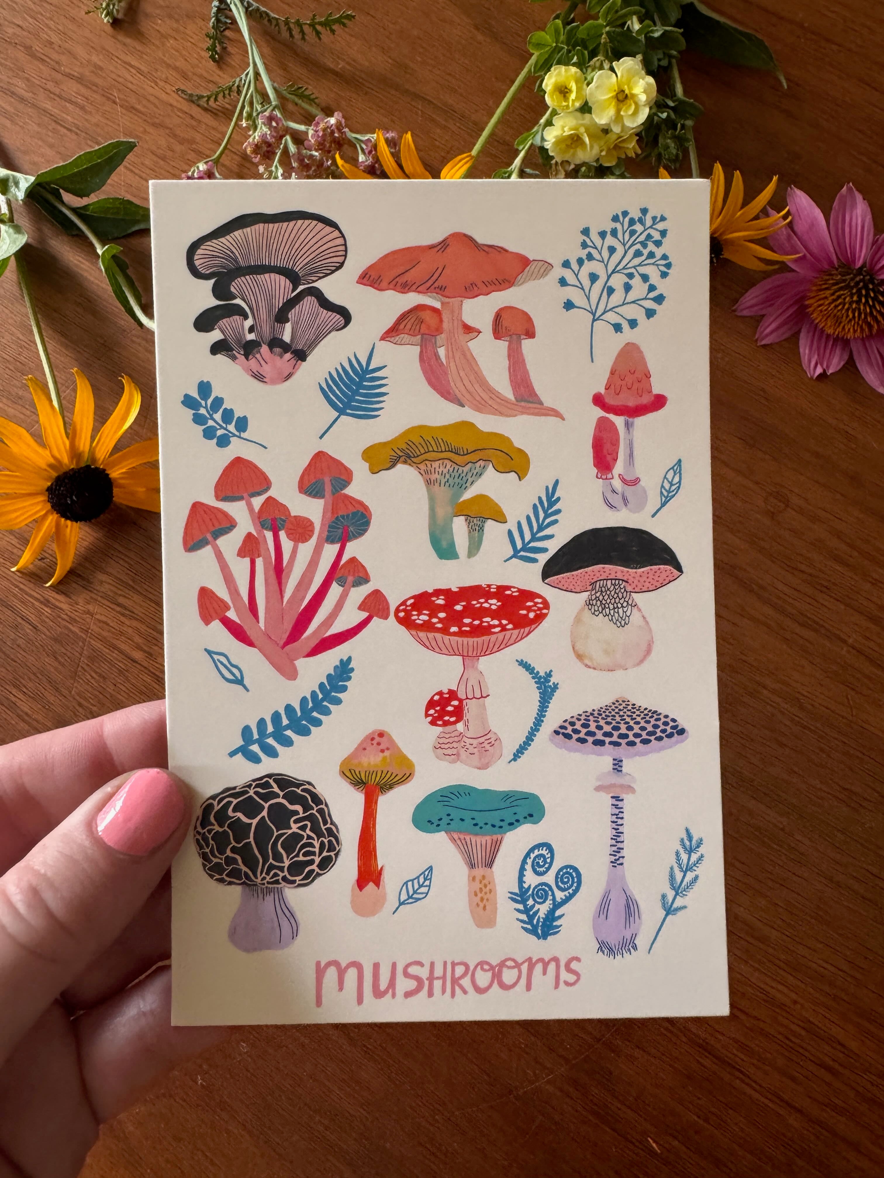 Mushroom Magic Postcard Collection - Set of 10