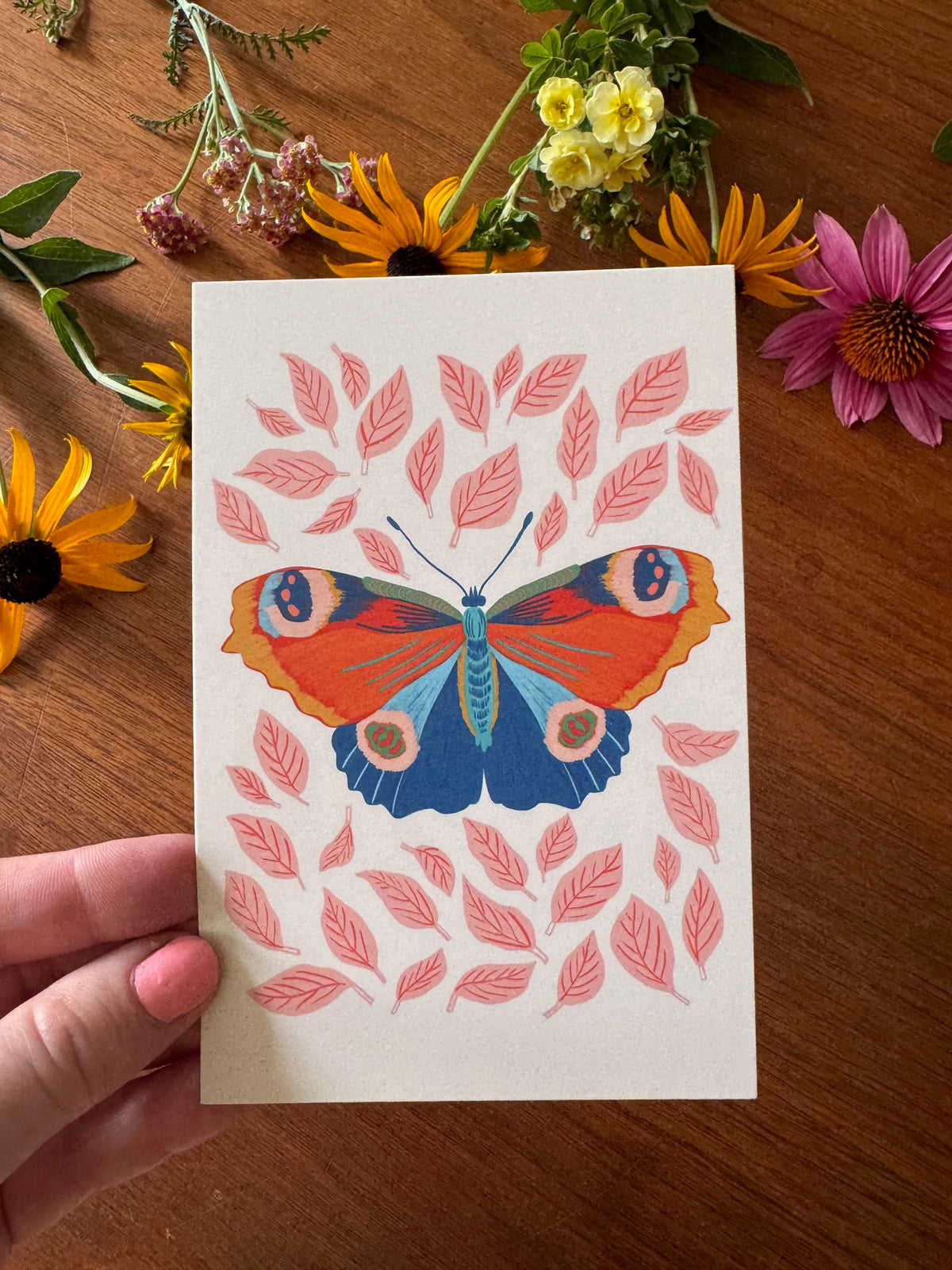 Beautiful Bugs Postcard Collection - Set of 10