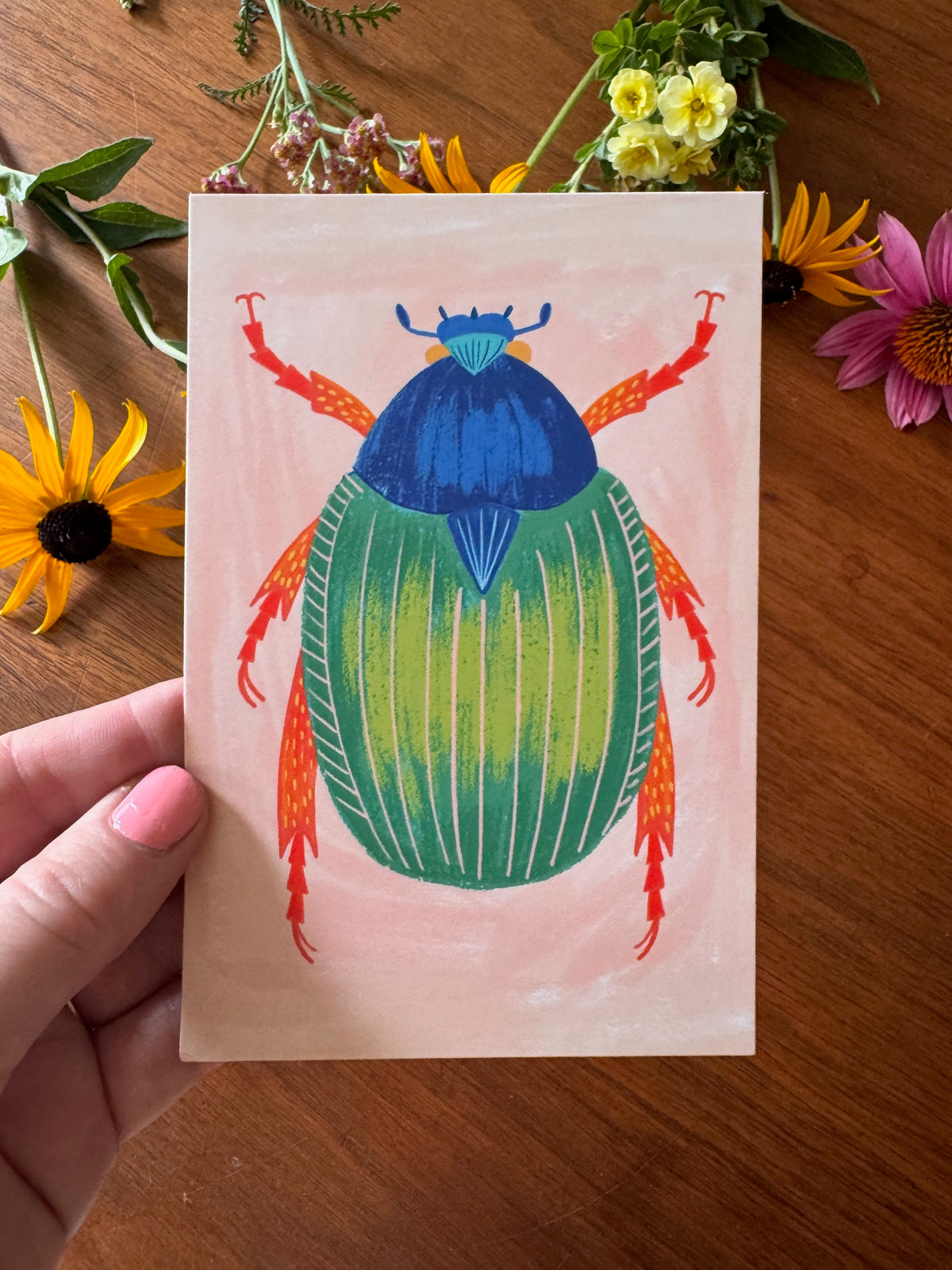 Beautiful Bugs Postcard Collection - Set of 10