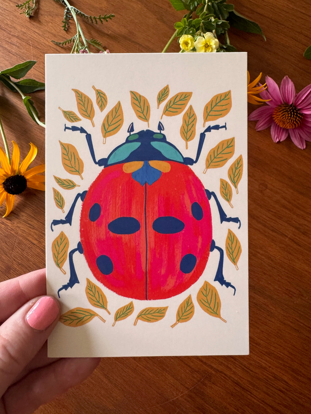 Beautiful Bugs Postcard Collection - Set of 10