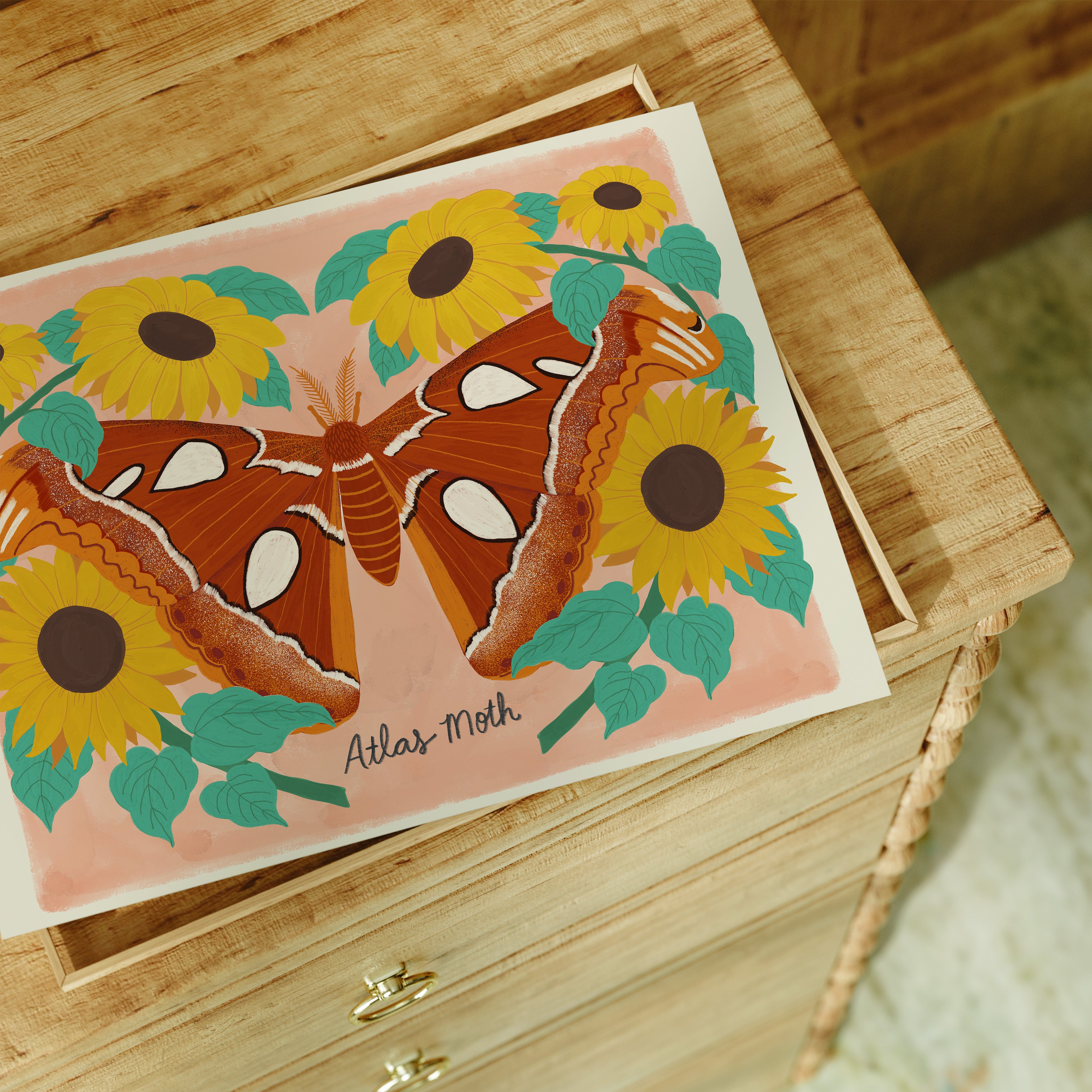 Atlas Moth and Sunflowers - Art Print