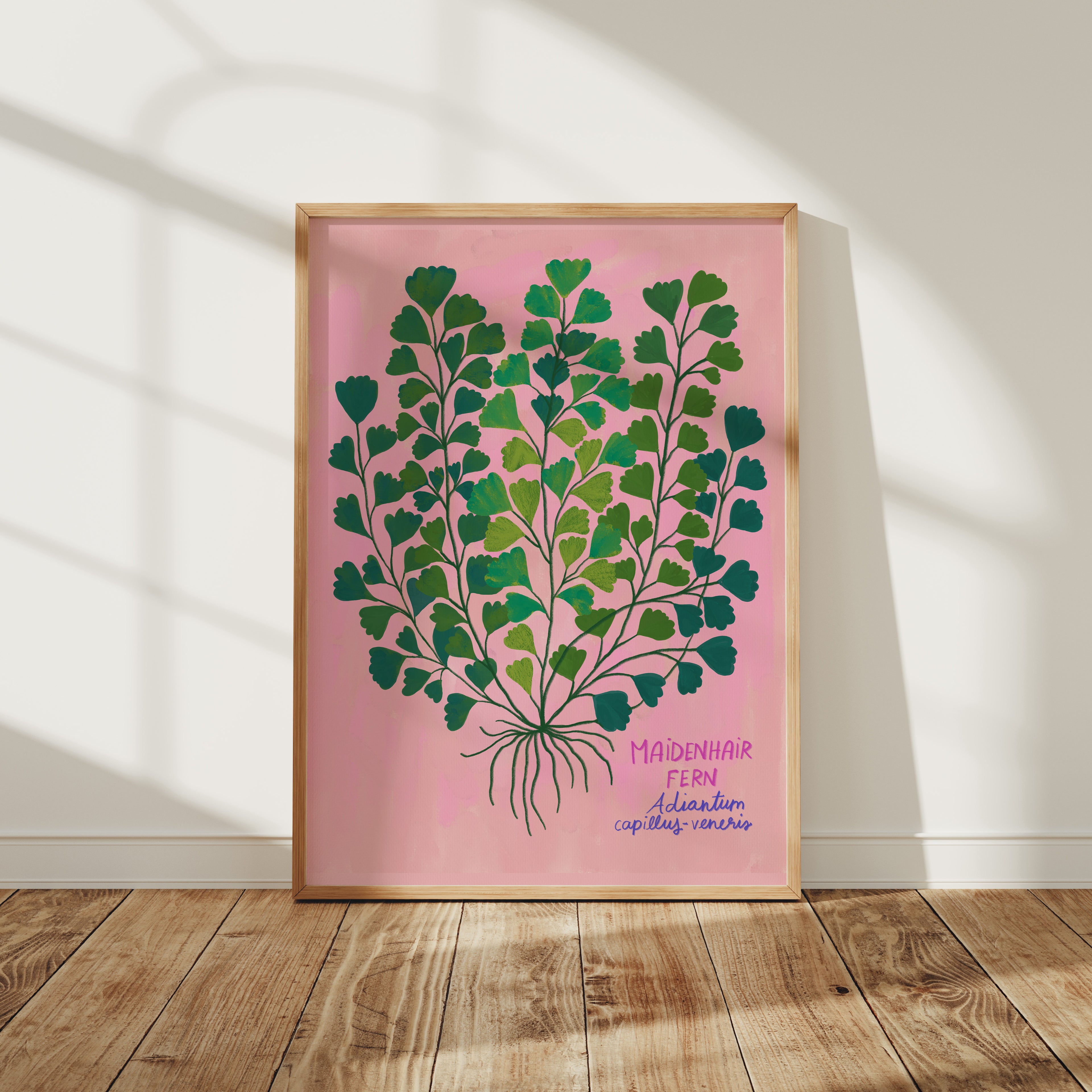 Maidenhair Fern - Art Print