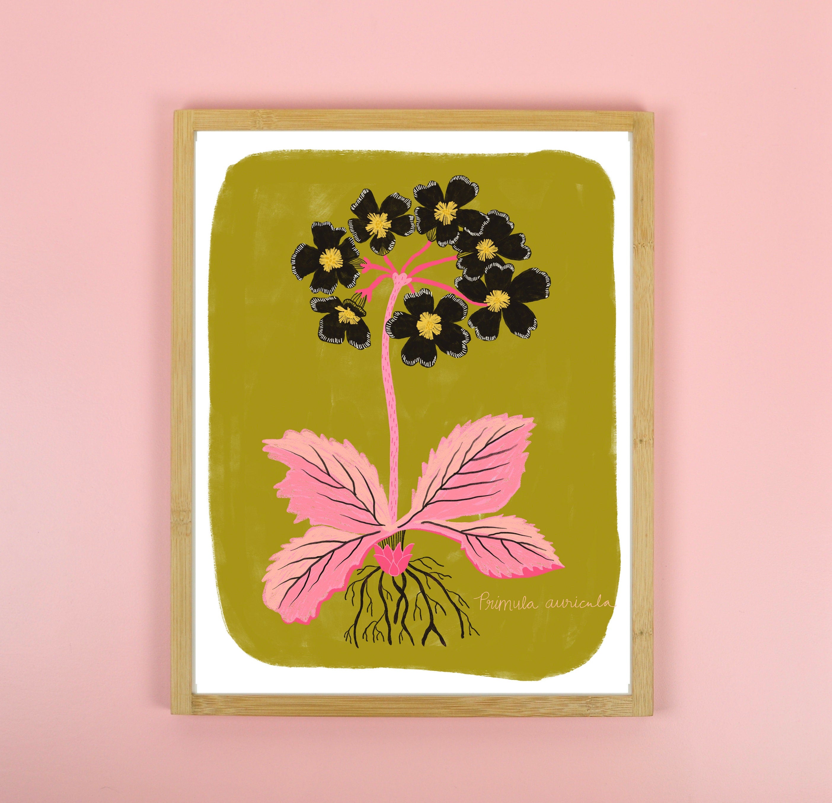 Black Primrose - Art Print