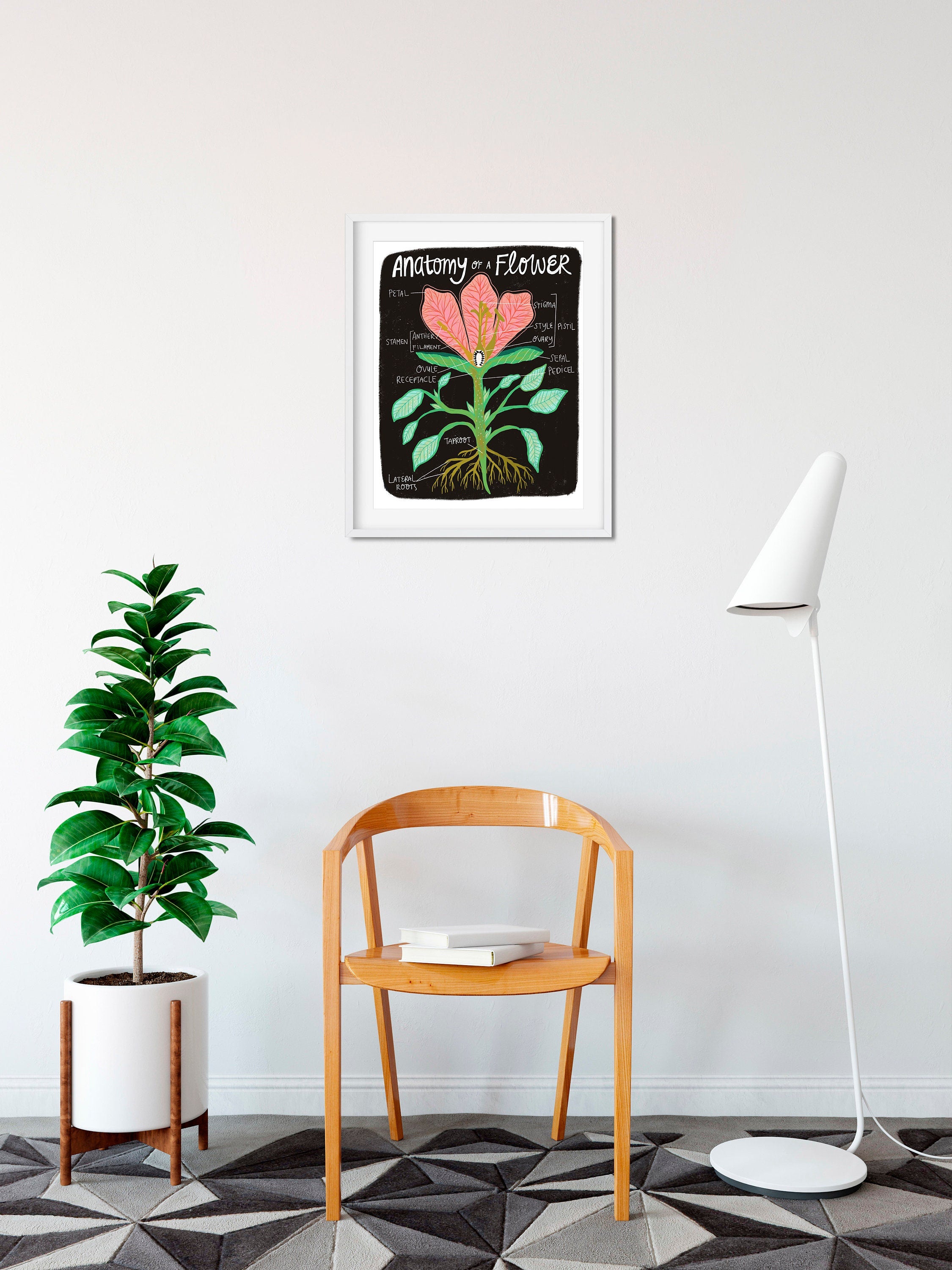 Flower Anatomy - Art Print