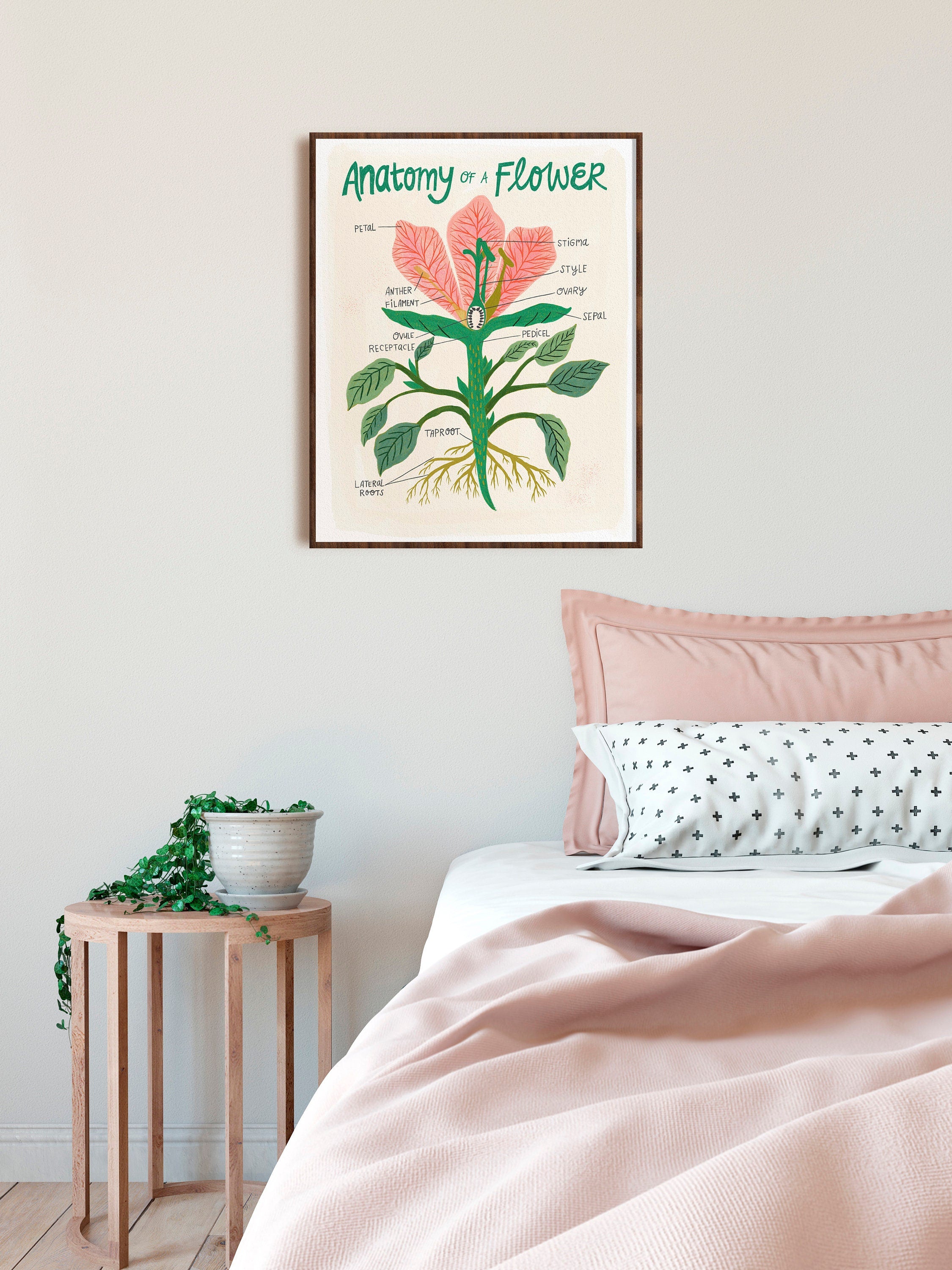 Flower Anatomy - Art Print