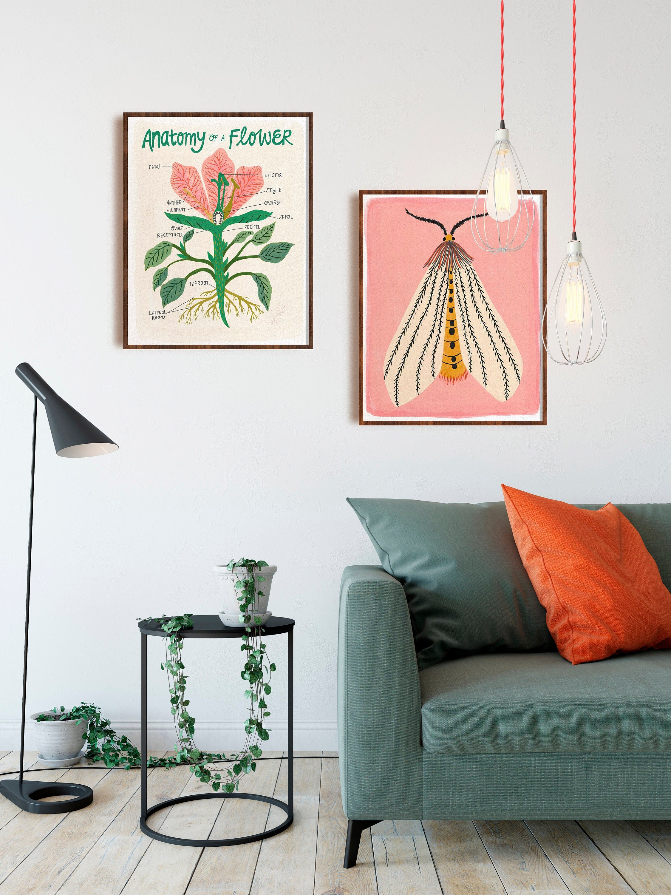 Flower Anatomy - Art Print