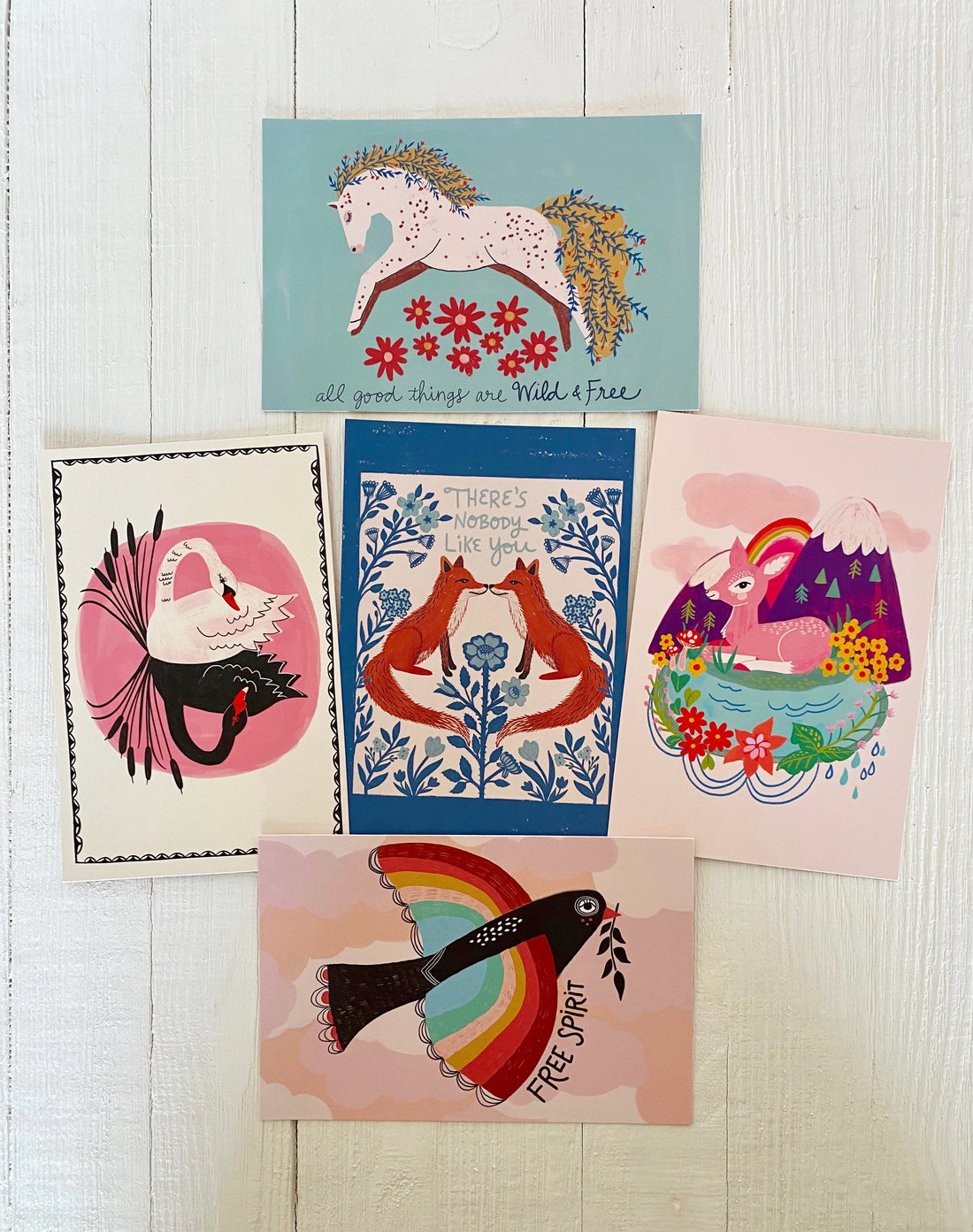Beautiful Creatures Postcard Pack - 10 postcards
