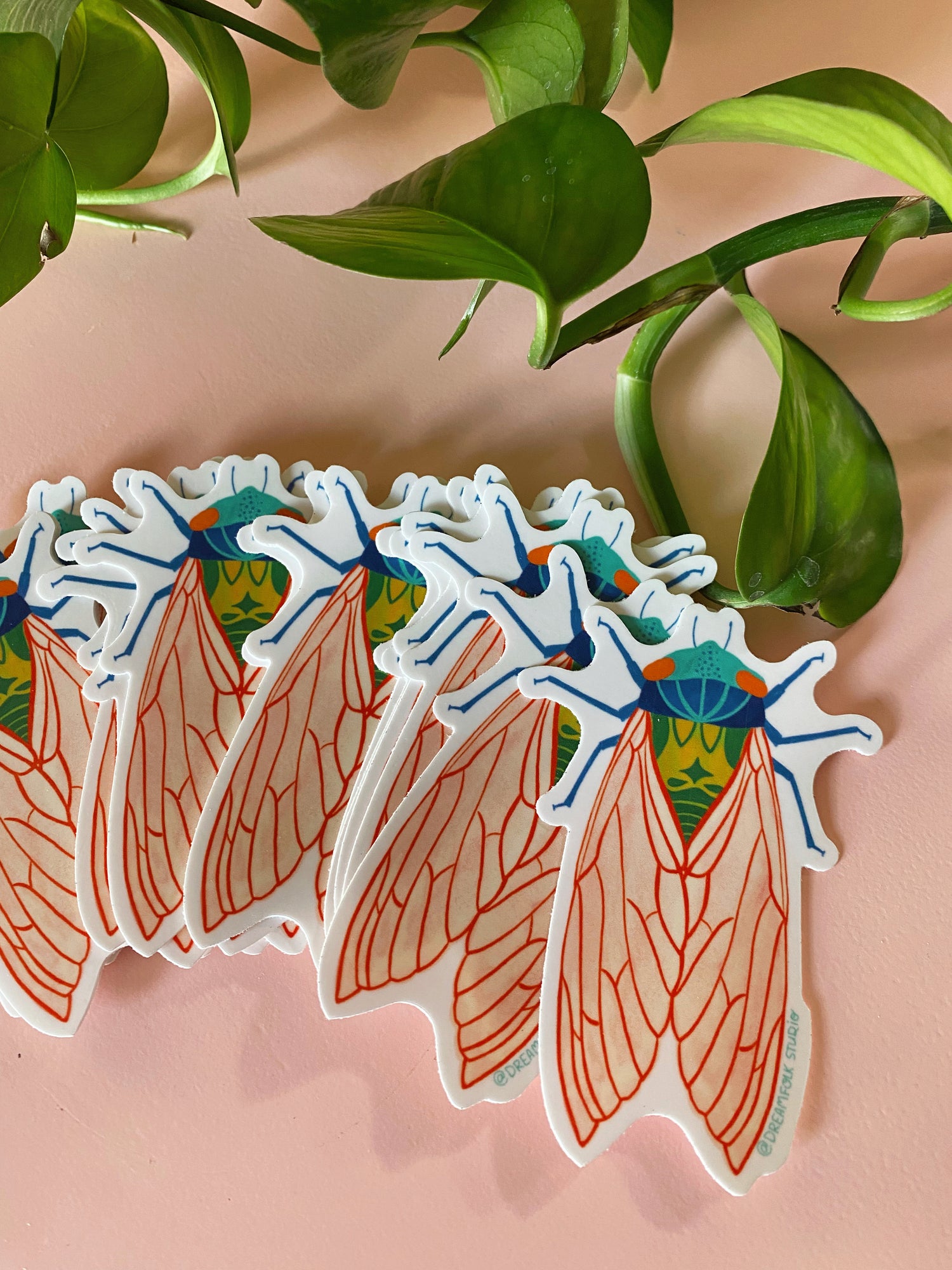 Cicada Sticker