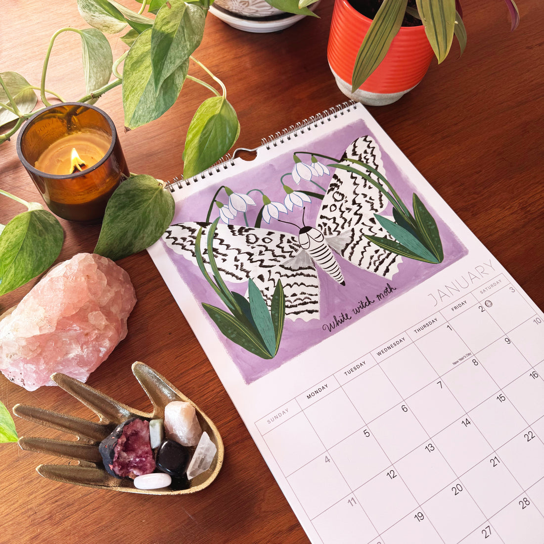 Mystical Moths 2026 Wall calendar