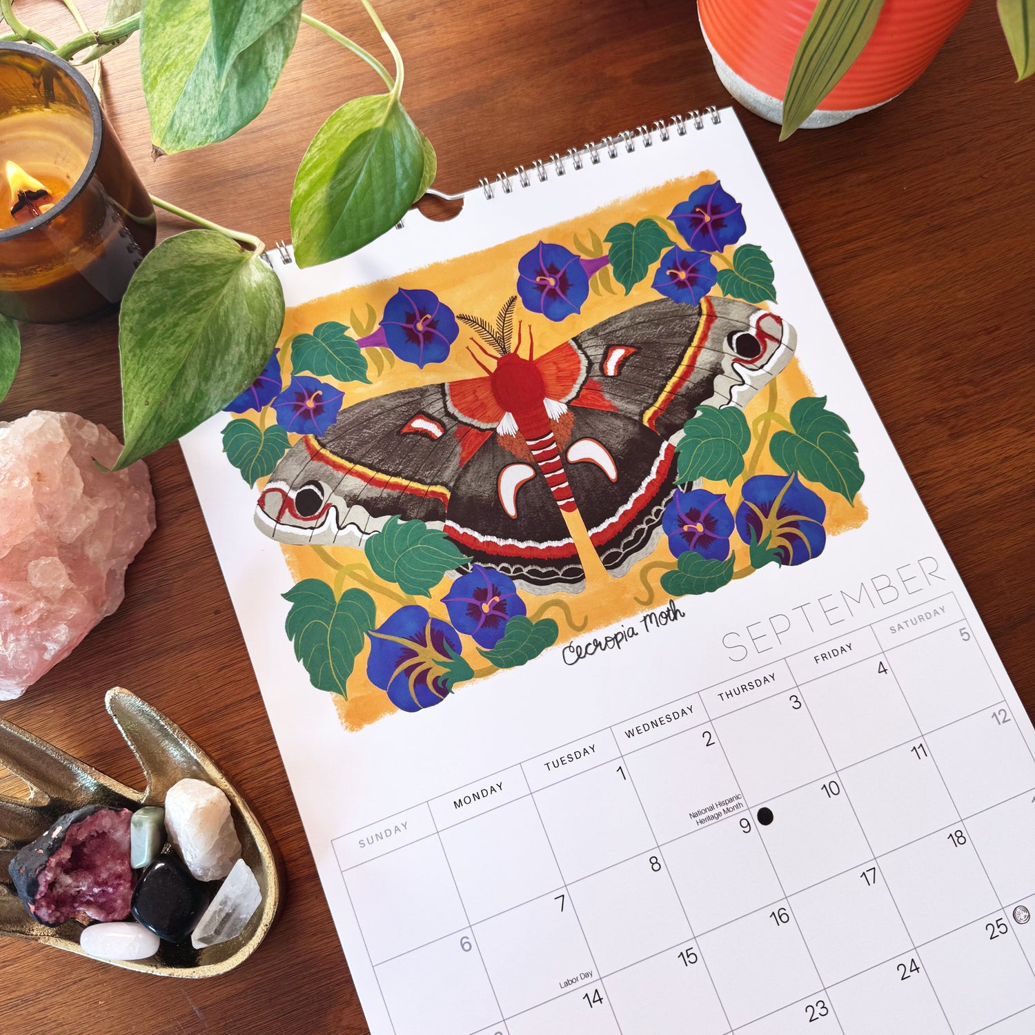 Mystical Moths 2026 Wall calendar