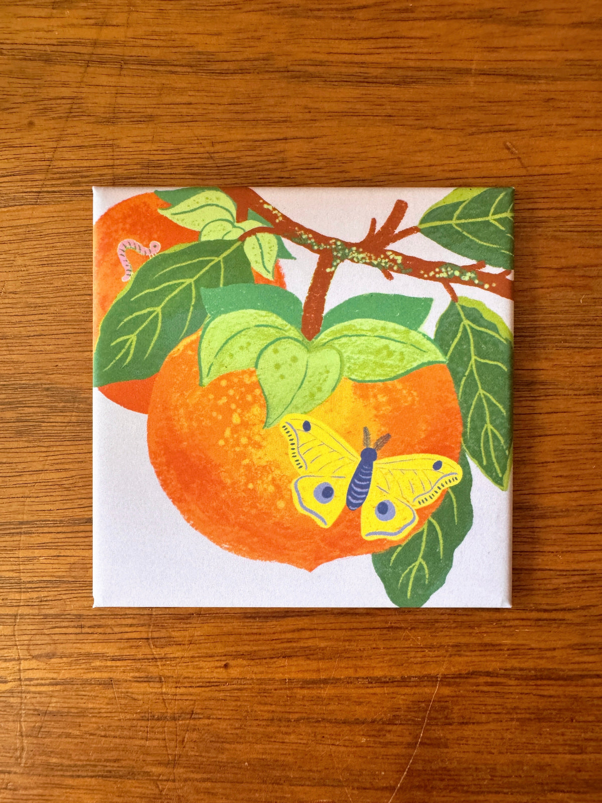 Persimmon + Moth Magnet | Tiny Worlds Collection
