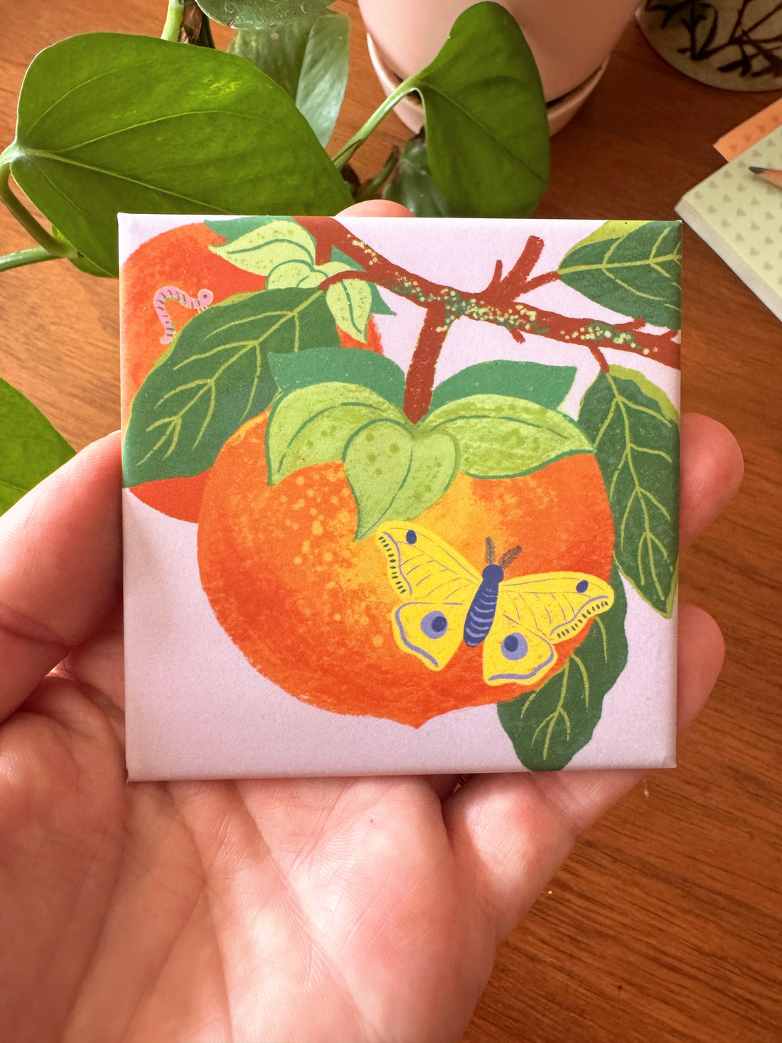 Persimmon + Moth | Tiny Worlds Collection