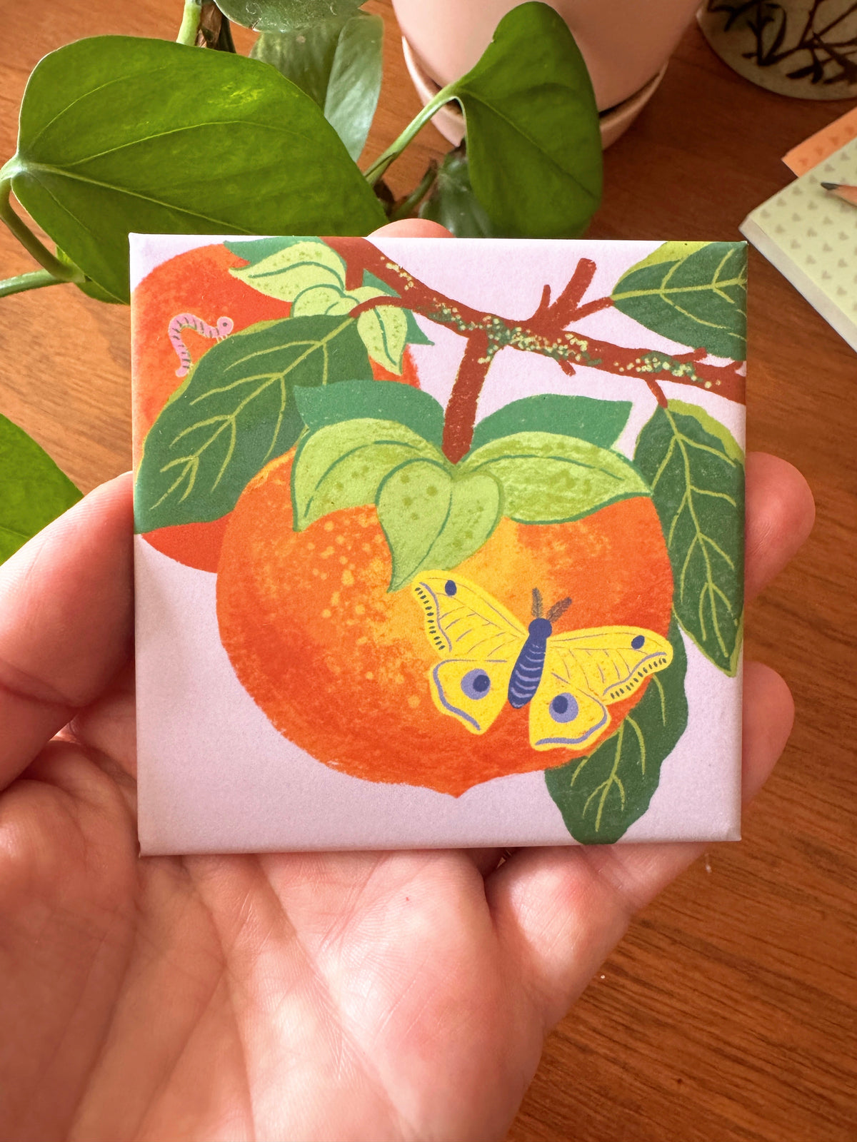 Persimmon + Moth Magnet | Tiny Worlds Collection