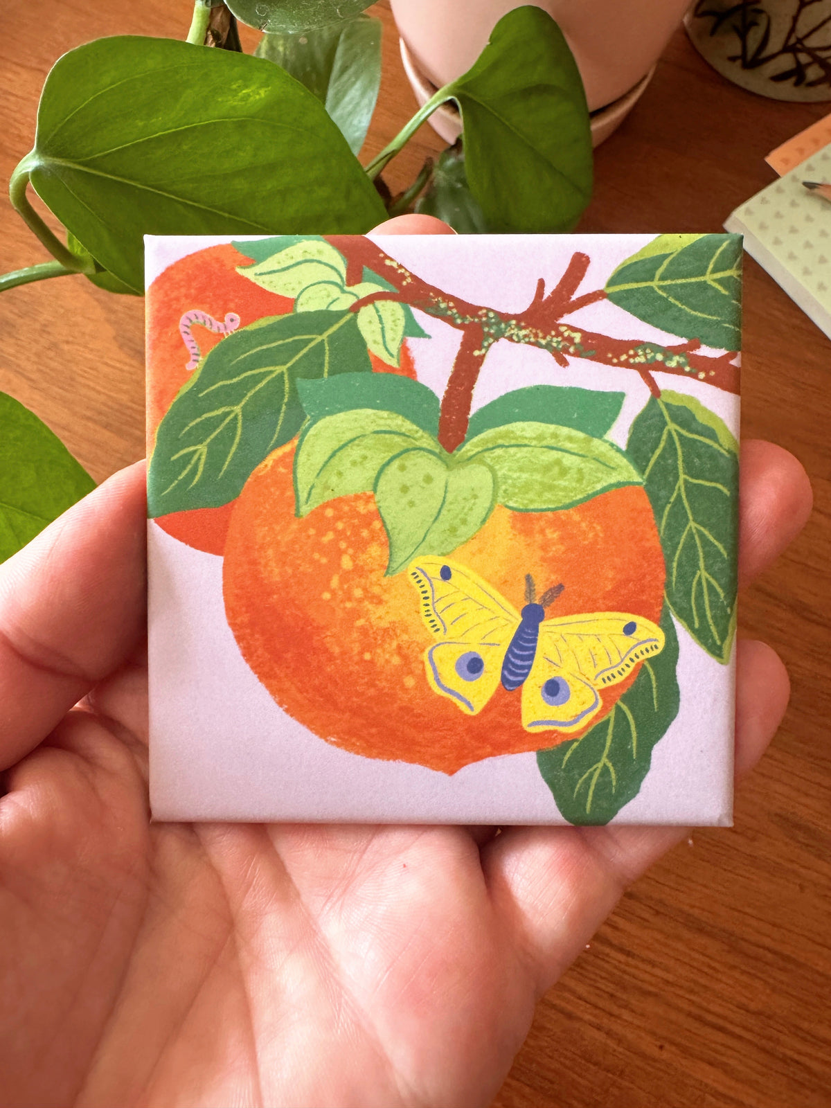 Persimmon + Moth Magnet | Tiny Worlds Collection