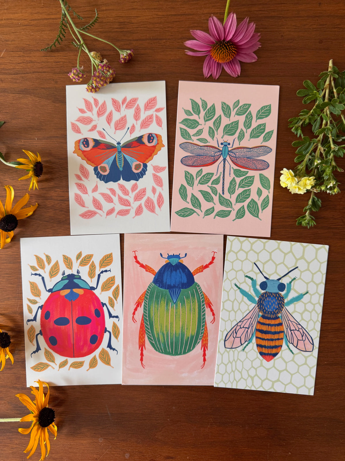 Beautiful Bugs Postcard Collection - Set of 10