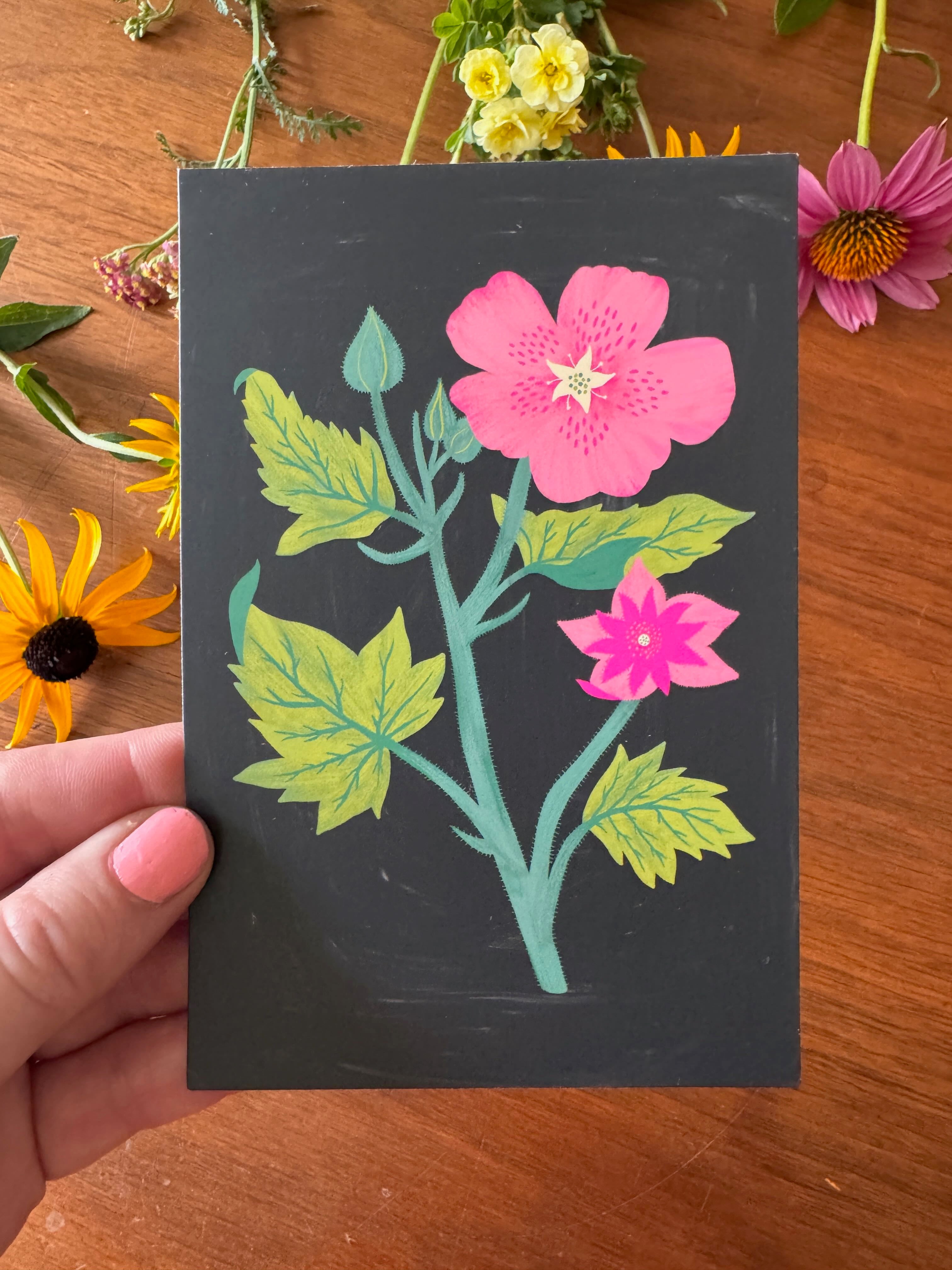 Meadow Flowers Postcard Collection - Set of 10