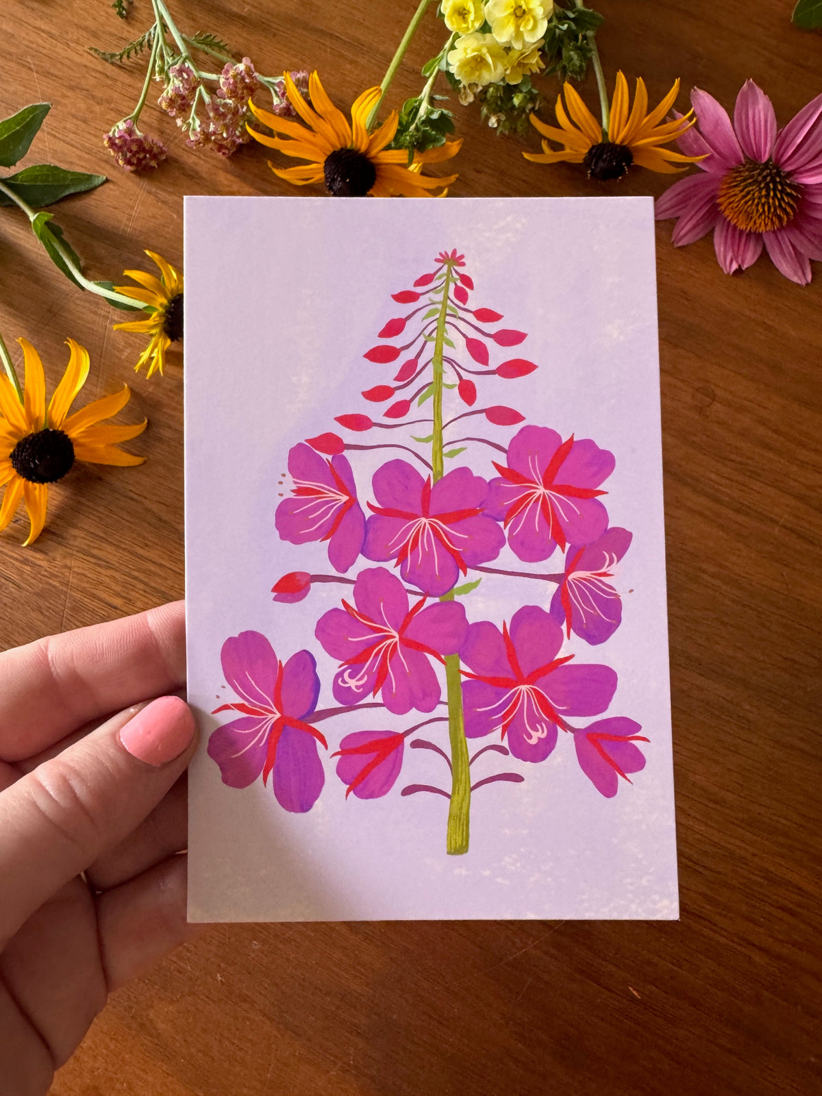 Meadow Flowers Postcard Collection - Set of 10