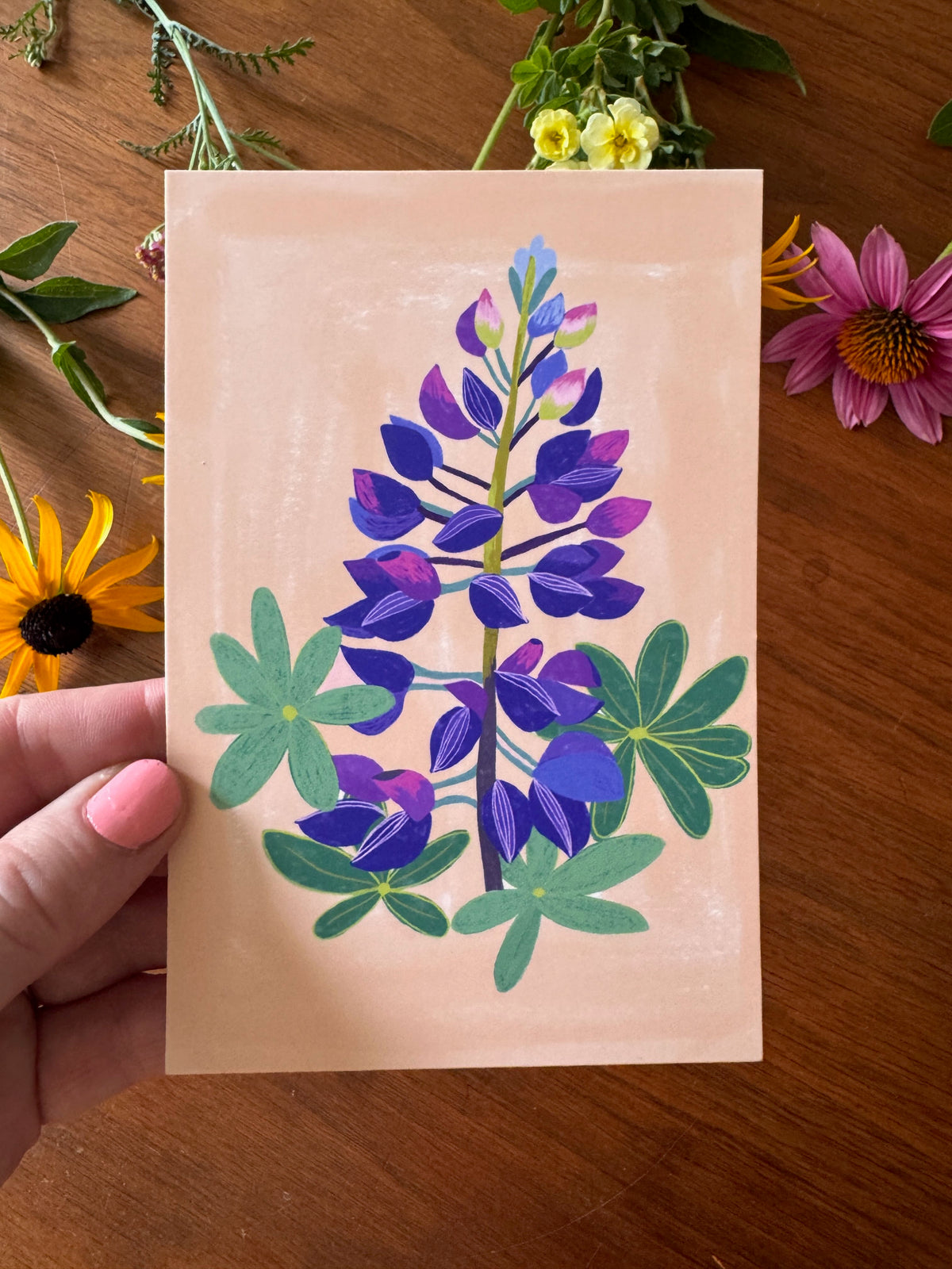 Meadow Flowers Postcard Collection - Set of 10