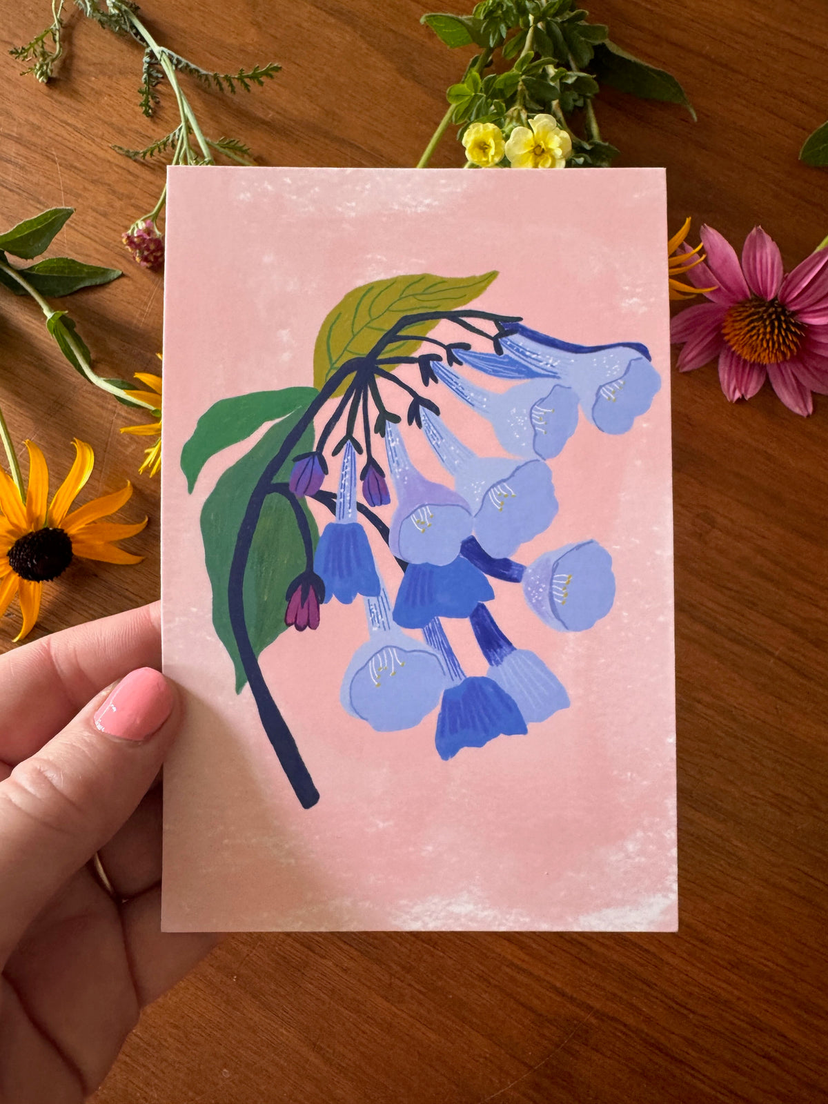 Meadow Flowers Postcard Collection - Set of 10