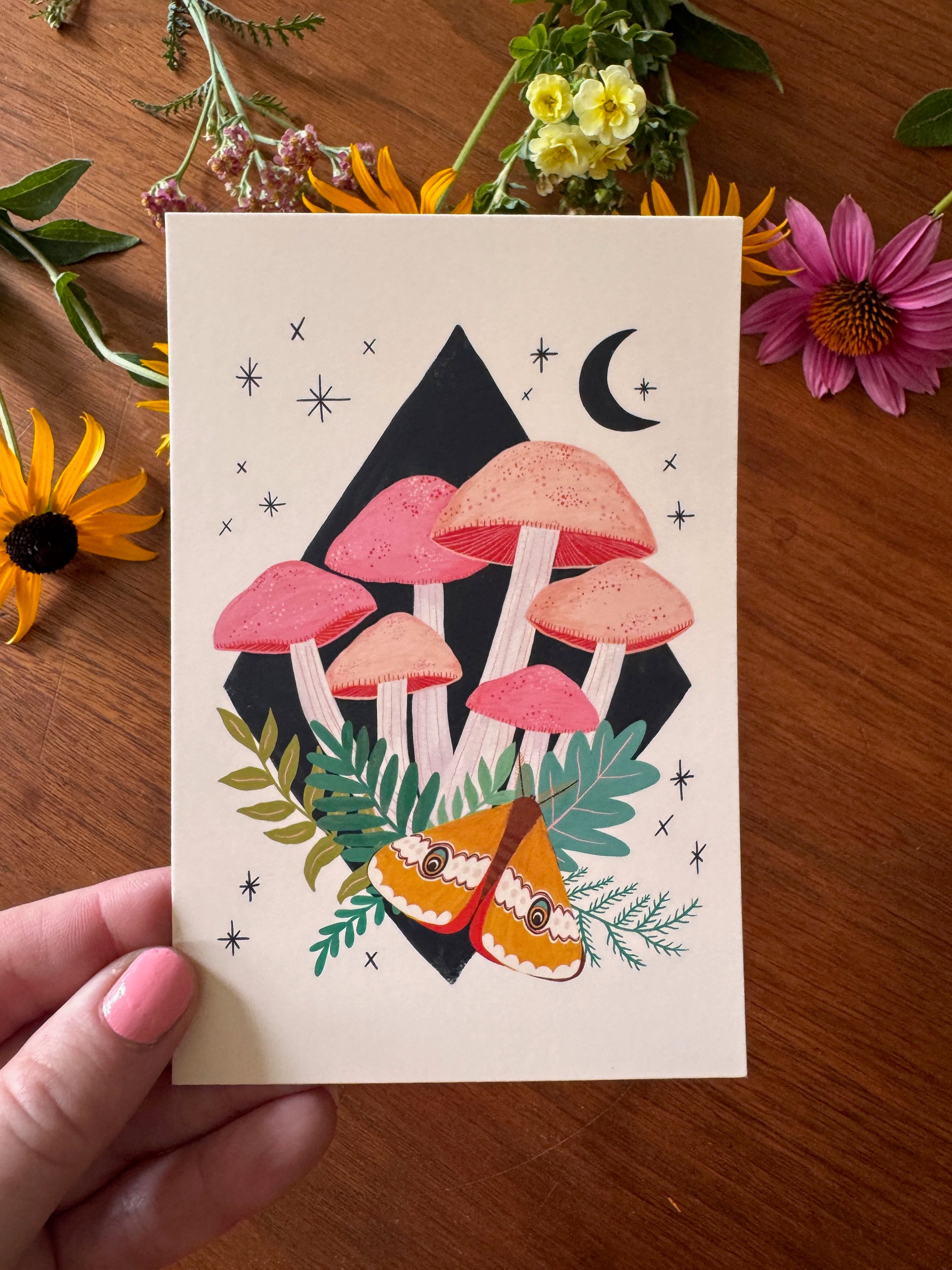 Mushroom Magic Postcard Collection - Set of 10