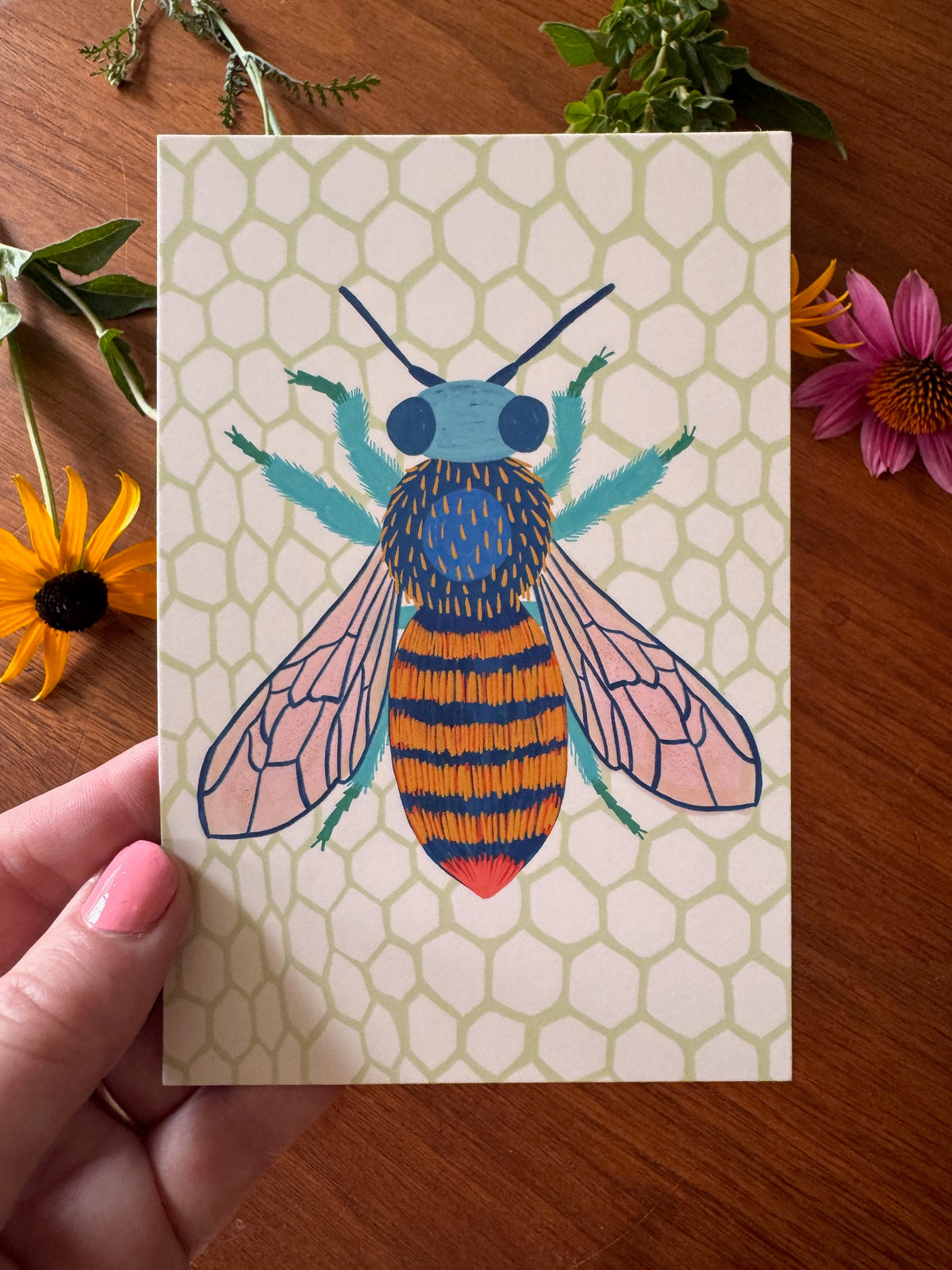 Beautiful Bugs Postcard Collection - Set of 10