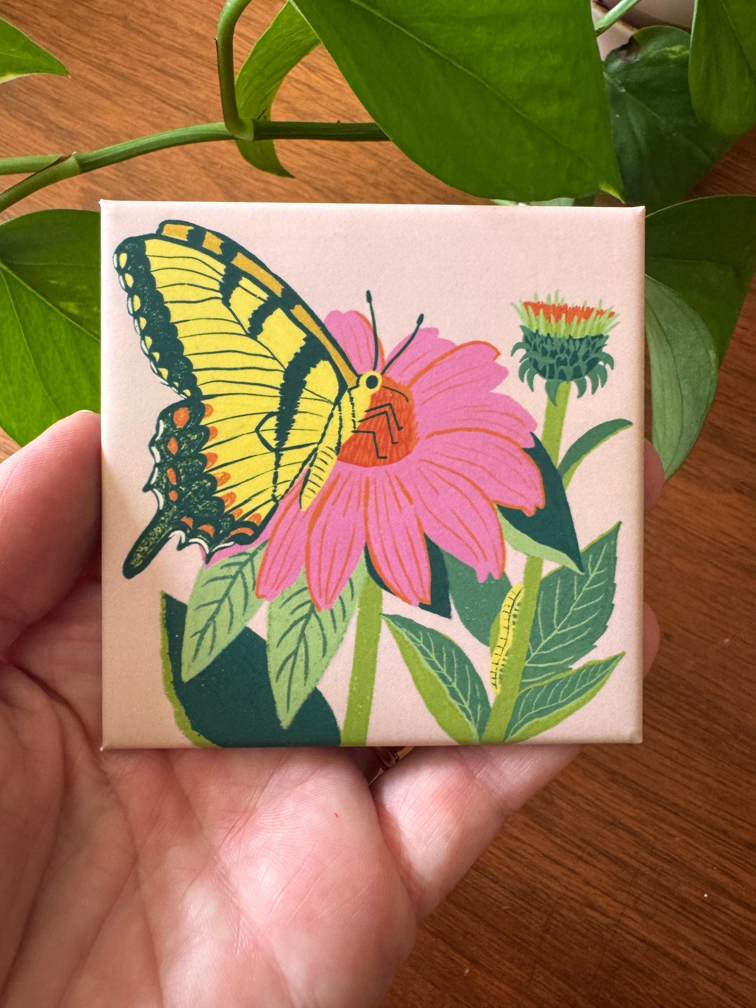 Swallowtail + Coneflower | Tiny Worlds Collection
