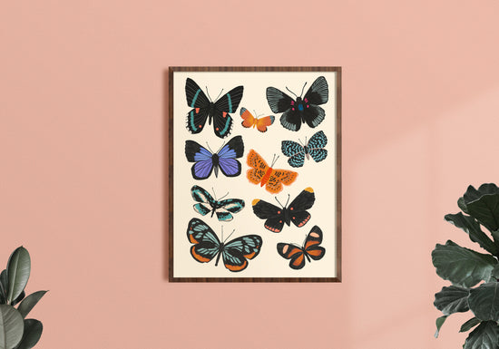Butterfly Chart - Art Print