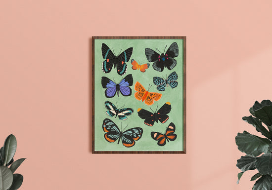 Butterfly Chart - Art Print