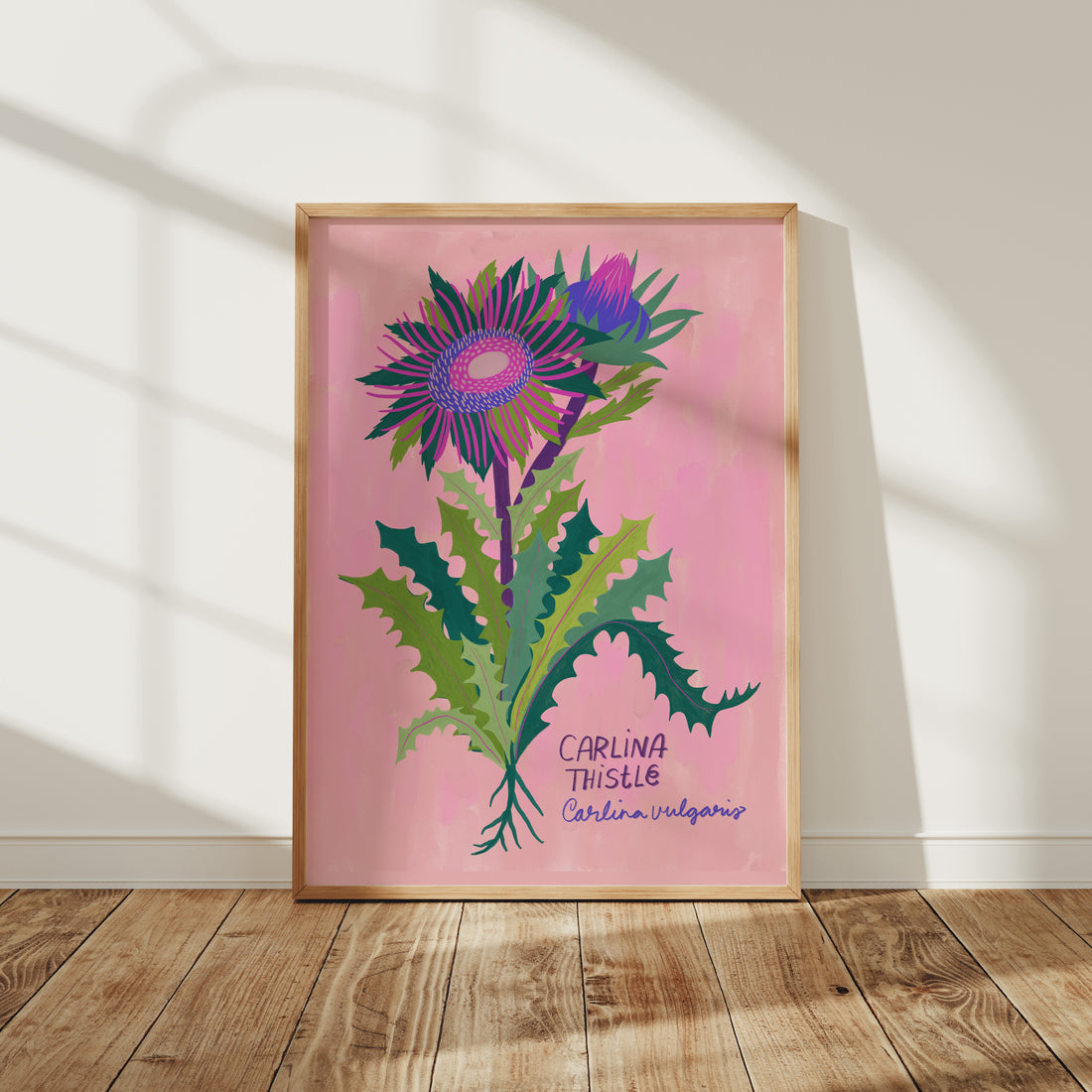 Carlina Thistle - Art Print