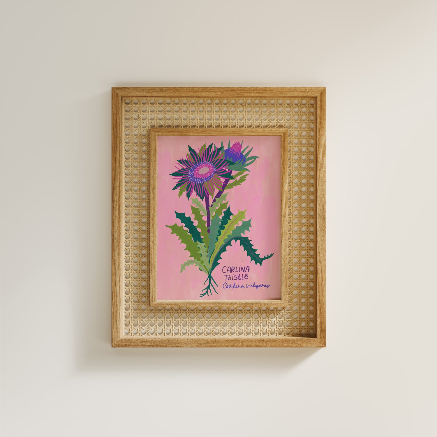 Carlina Thistle - Art Print