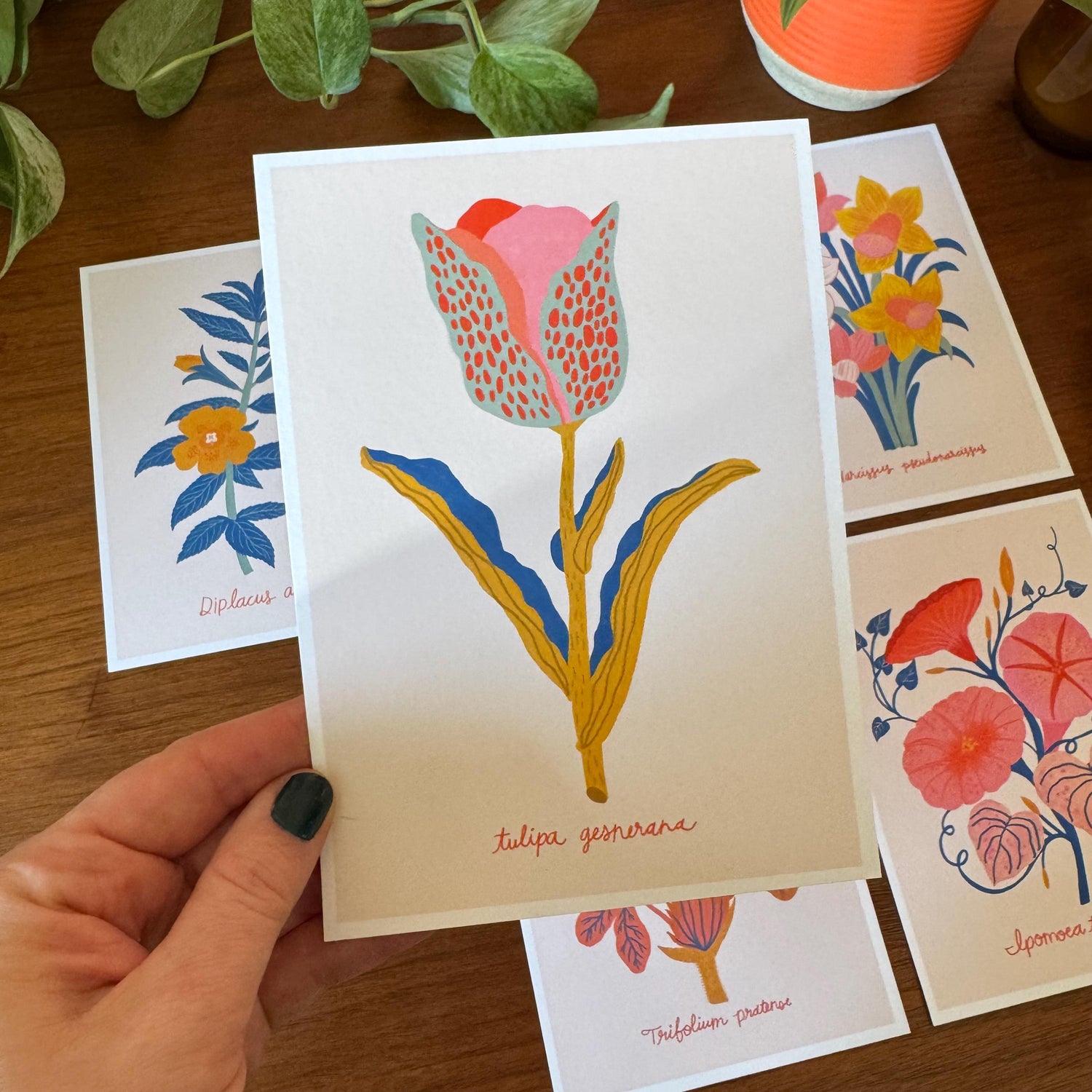 Botanical Print Set of 6, Wildflower Gallery Wall, Folk Art Botanical Prints, Cottagecore Wall Decor