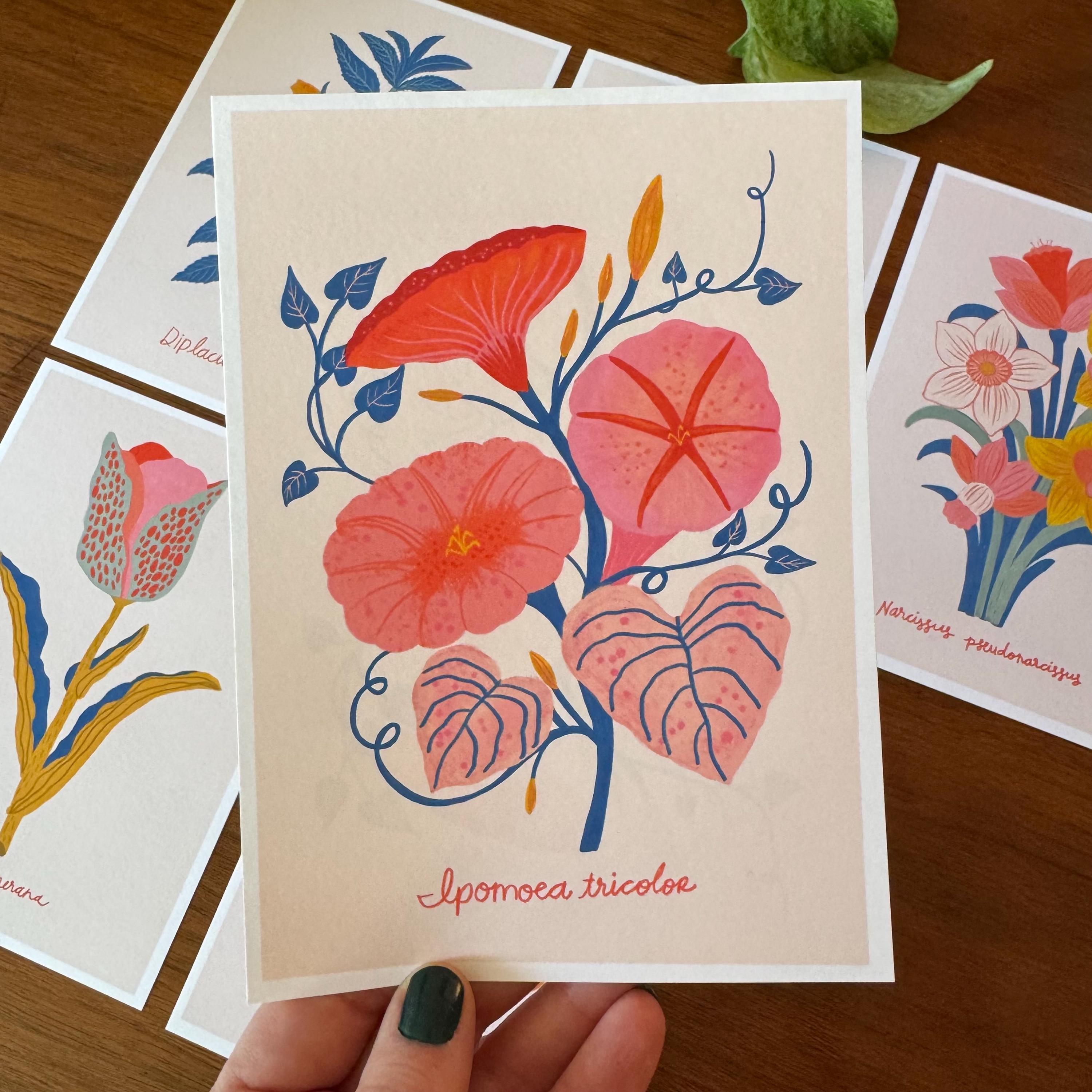 Botanical Print Set of 6, Wildflower Gallery Wall, Folk Art Botanical Prints, Cottagecore Wall Decor
