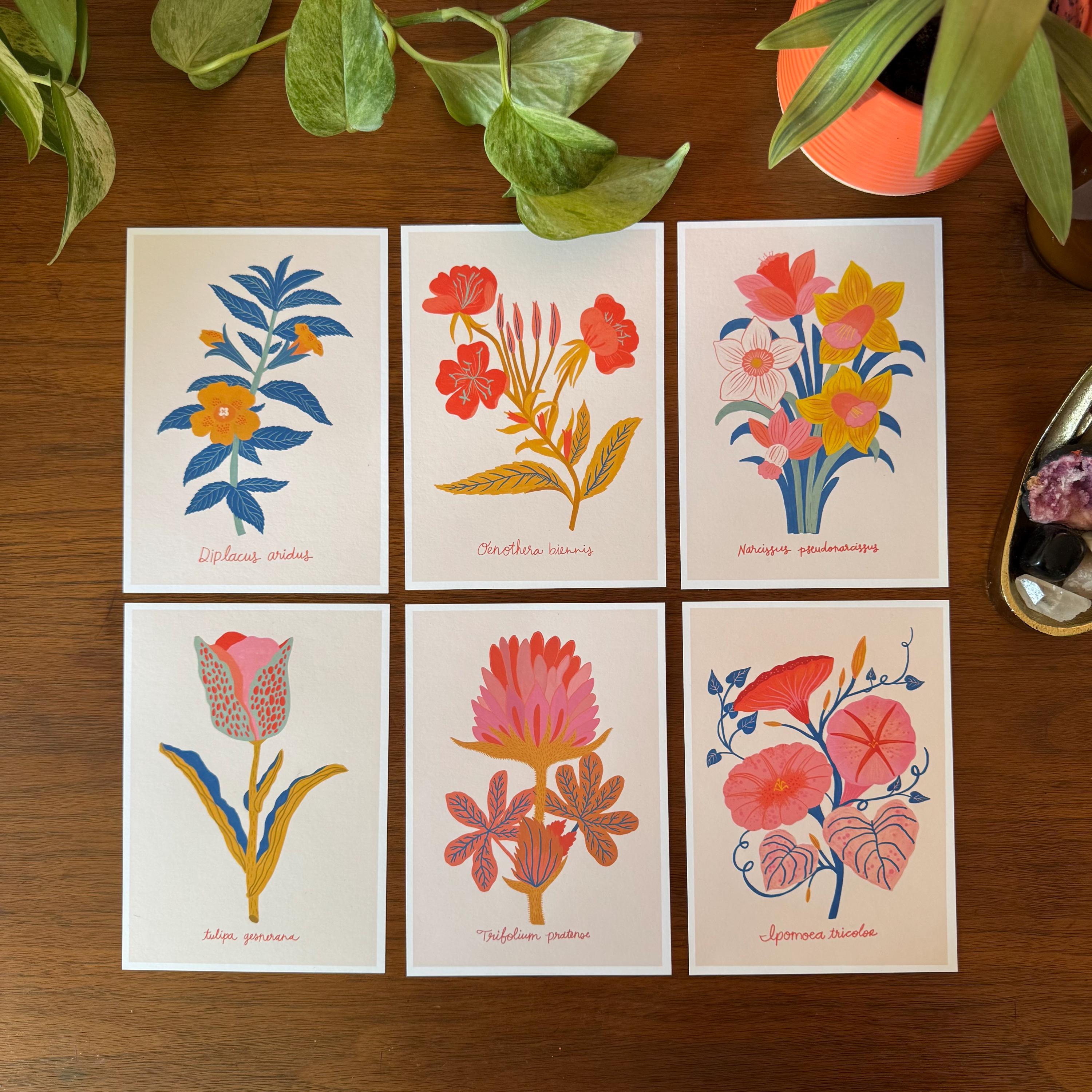 Botanical Print Set of 6, Wildflower Gallery Wall, Folk Art Botanical Prints, Cottagecore Wall Decor