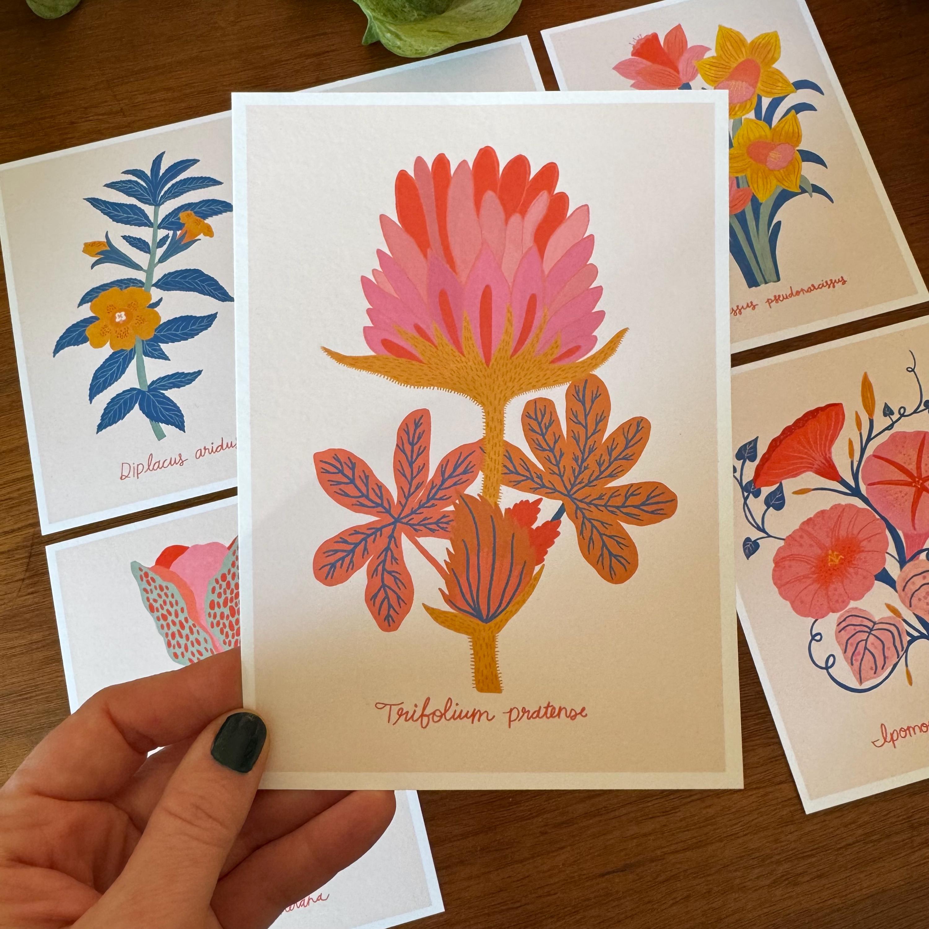 Botanical Print Set of 6, Wildflower Gallery Wall, Folk Art Botanical Prints, Cottagecore Wall Decor
