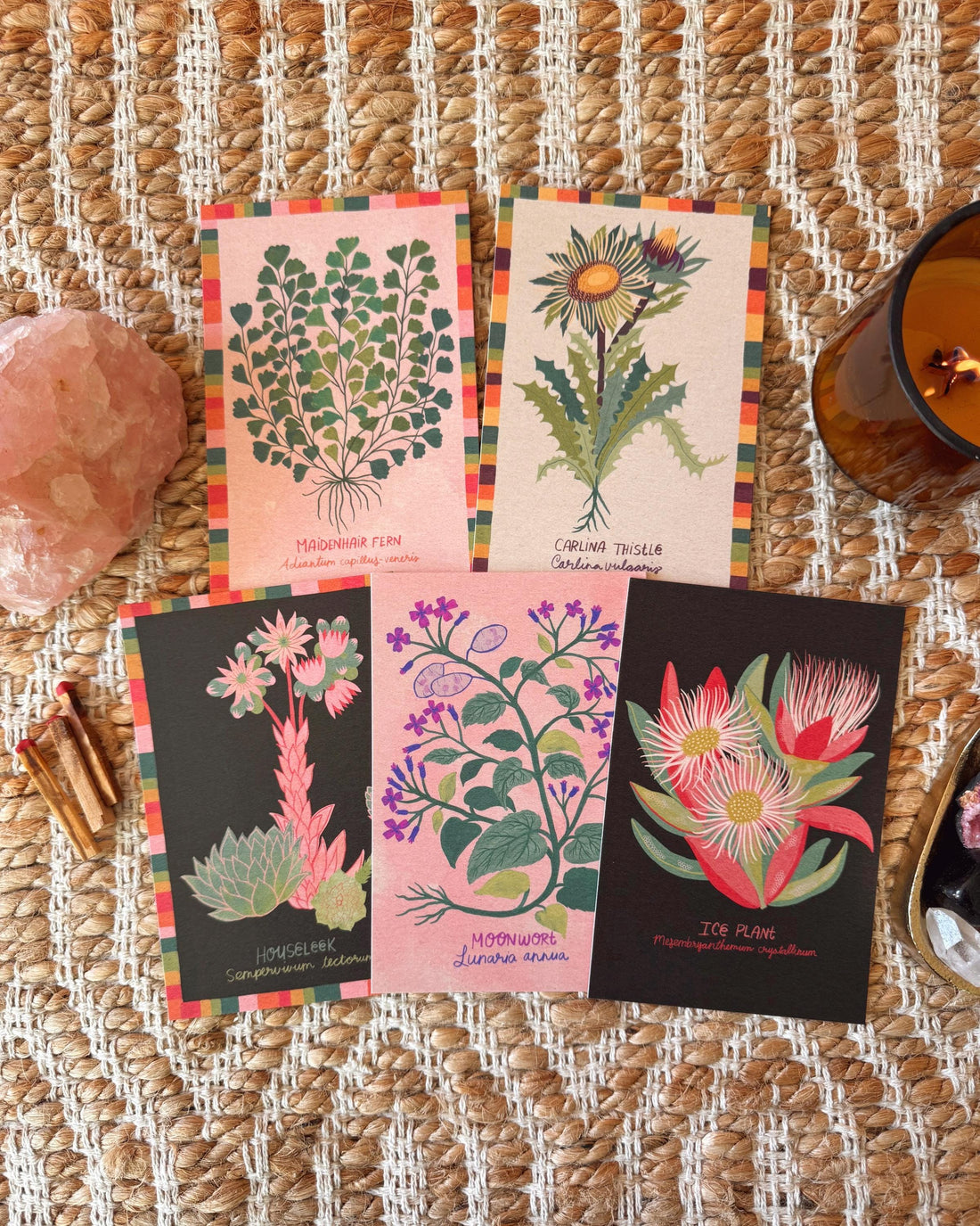 Strange and Wondrous Plant Postcards | Set of 10 | Dark Academia Decor Nature Illustrations
