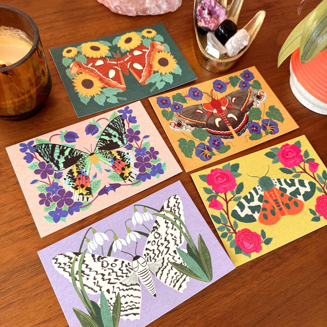 Moth and Flower Postcard Pack | Set of 10 | Hand Illustrated Insect Cards