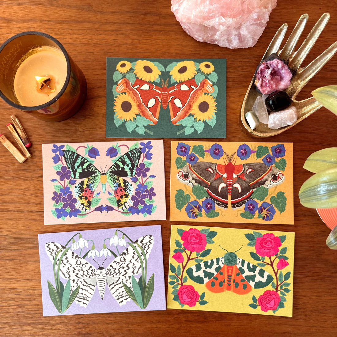 Moth and Flower Postcard Pack | Set of 10 | Hand Illustrated Insect Cards