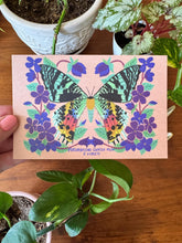 Moth and Flower Postcard Pack | Set of 10 | Hand Illustrated Insect Cards