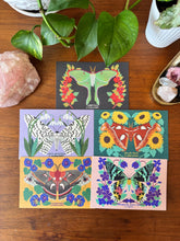 Moth and Flower Postcard Pack | Set of 10 | Hand Illustrated Insect Cards