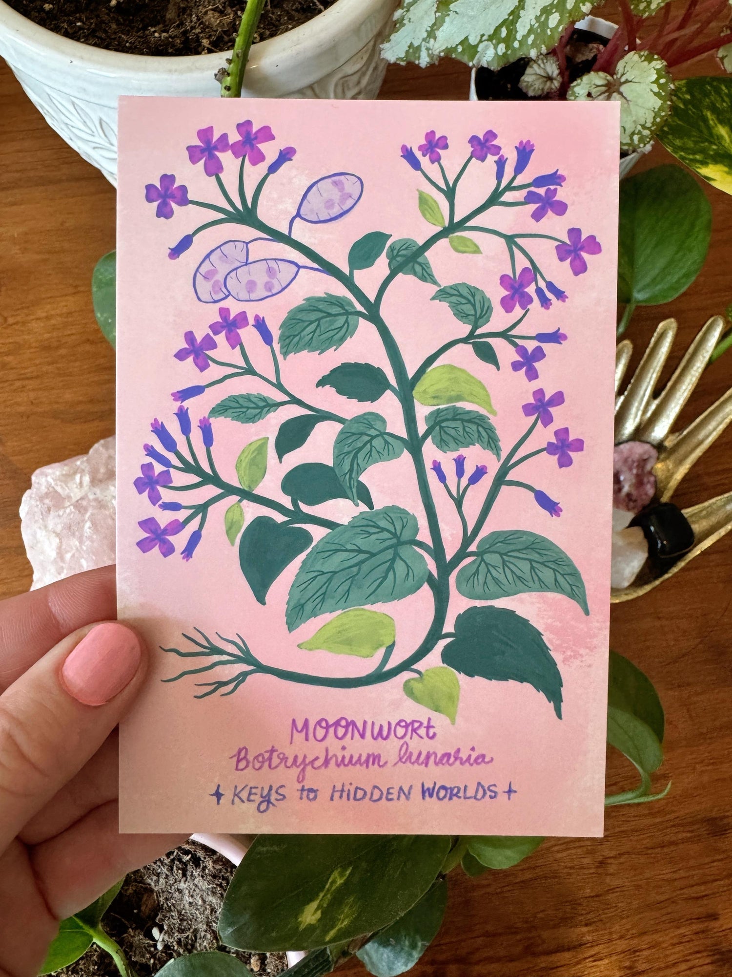 Strange and Wondrous Plant Postcards | Set of 10