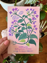 Strange and Wondrous Plant Postcards | Set of 10