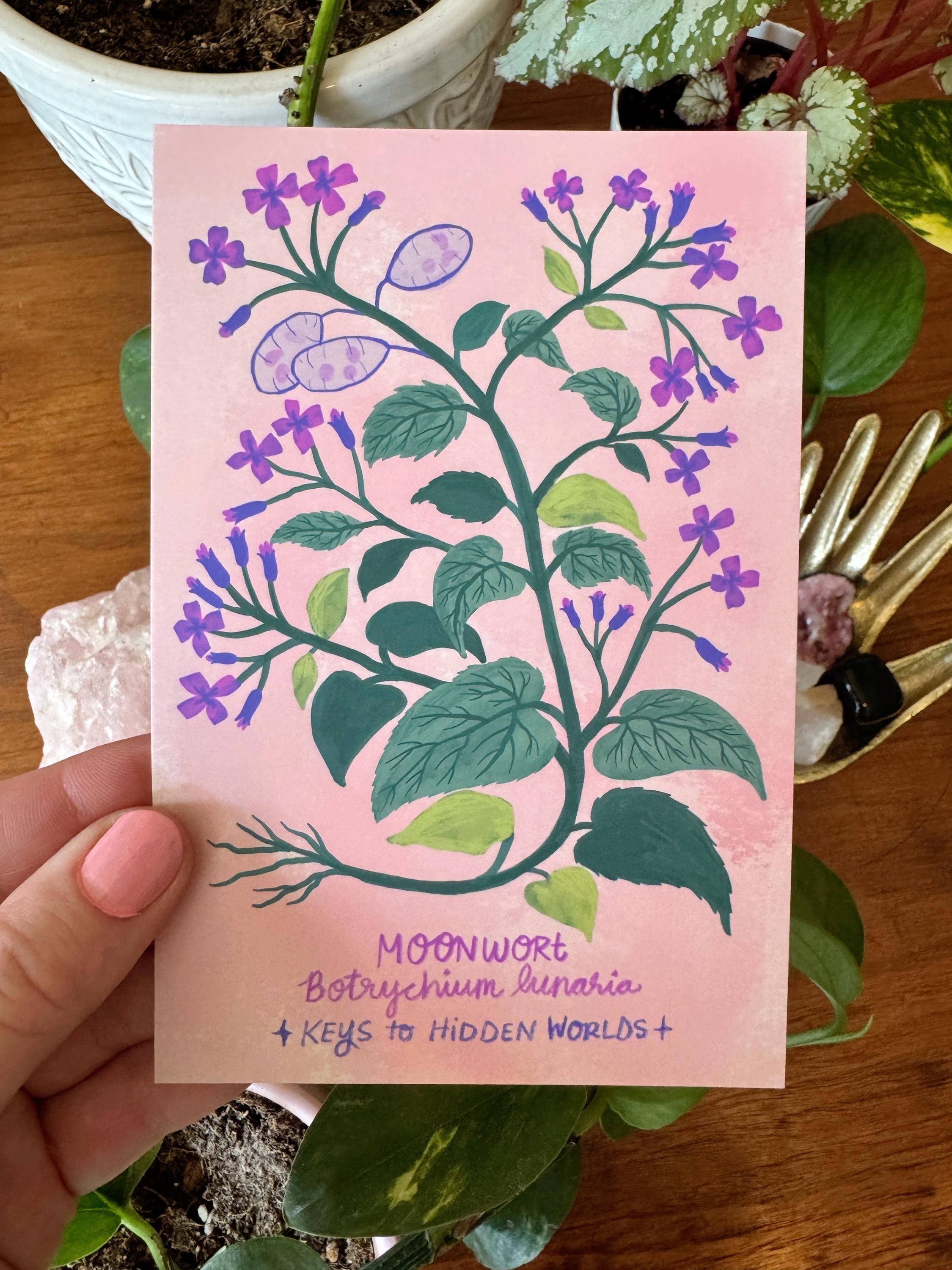 Strange and Wondrous Plant Postcards | Set of 10