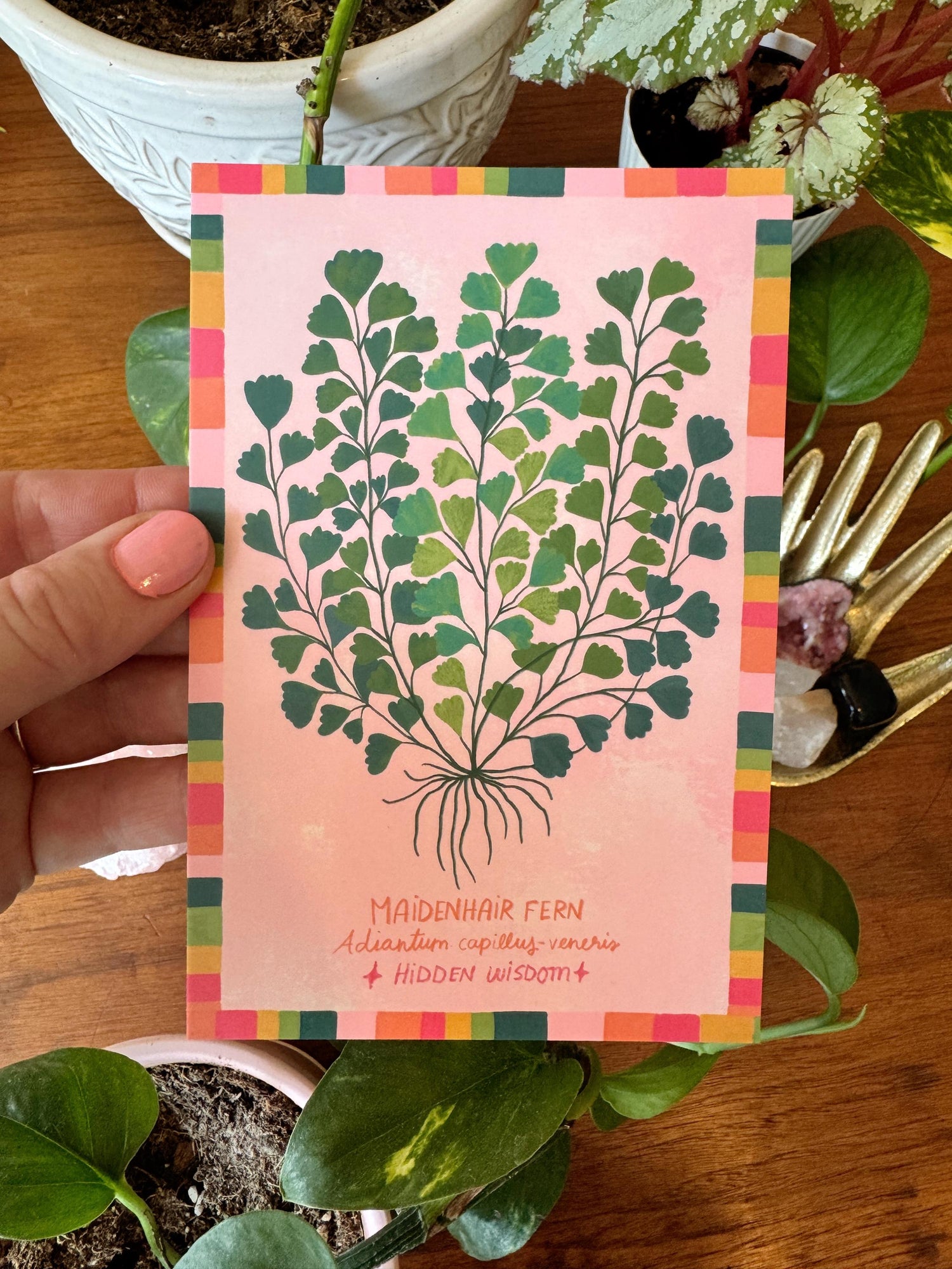 Strange and Wondrous Plant Postcards | Set of 10
