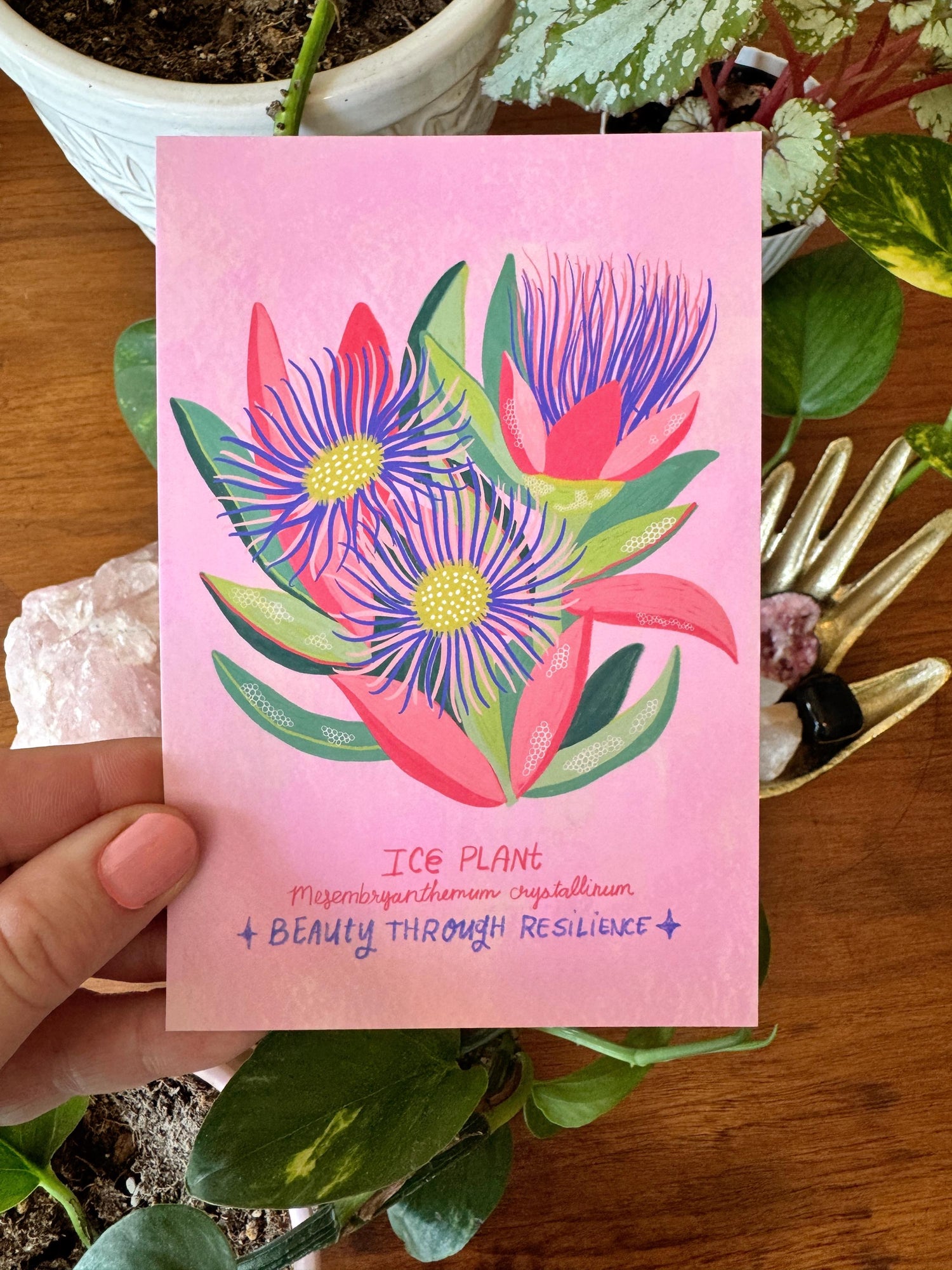 Strange and Wondrous Plant Postcards | Set of 10