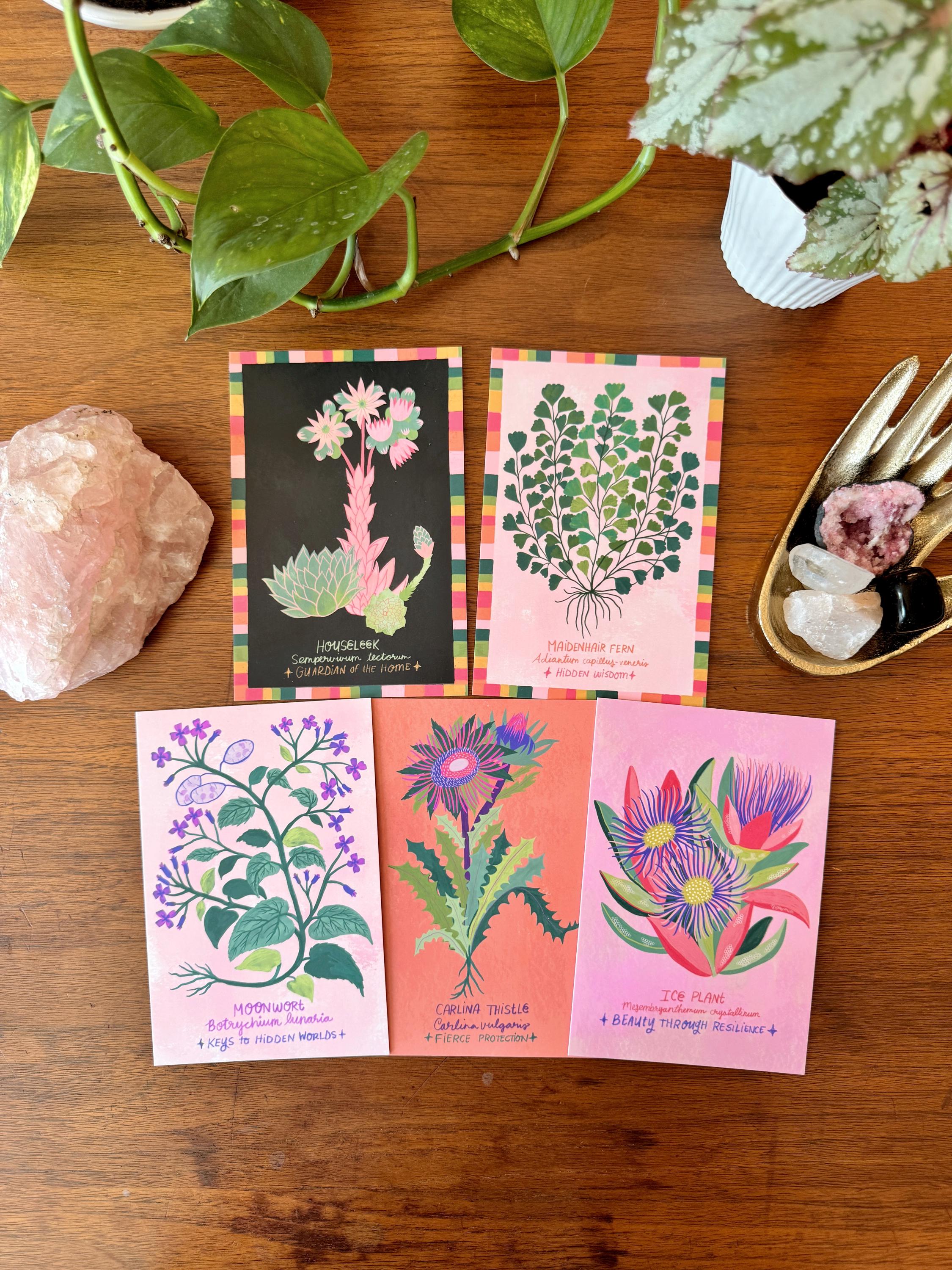 Strange and Wondrous Plant Postcards | Set of 10