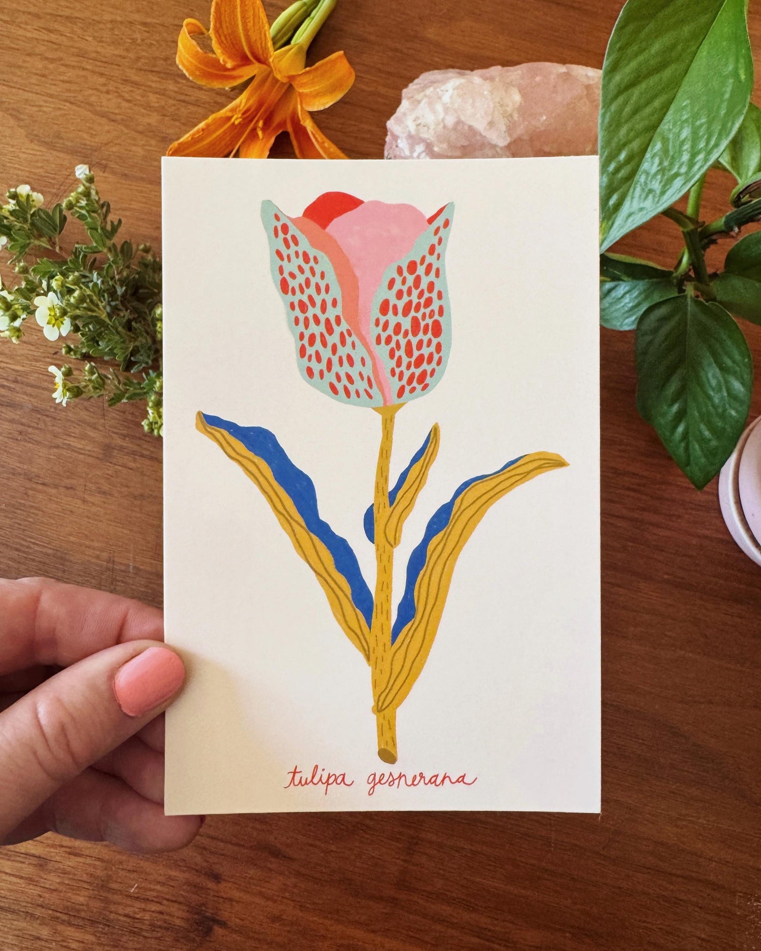 Flower Postcard Pack - 10 postcards