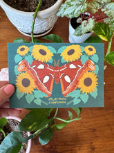 Moth and Flower Postcard Pack | Set of 10 | Hand Illustrated Insect Cards