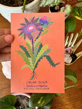 Strange and Wondrous Plant Postcards | Set of 10